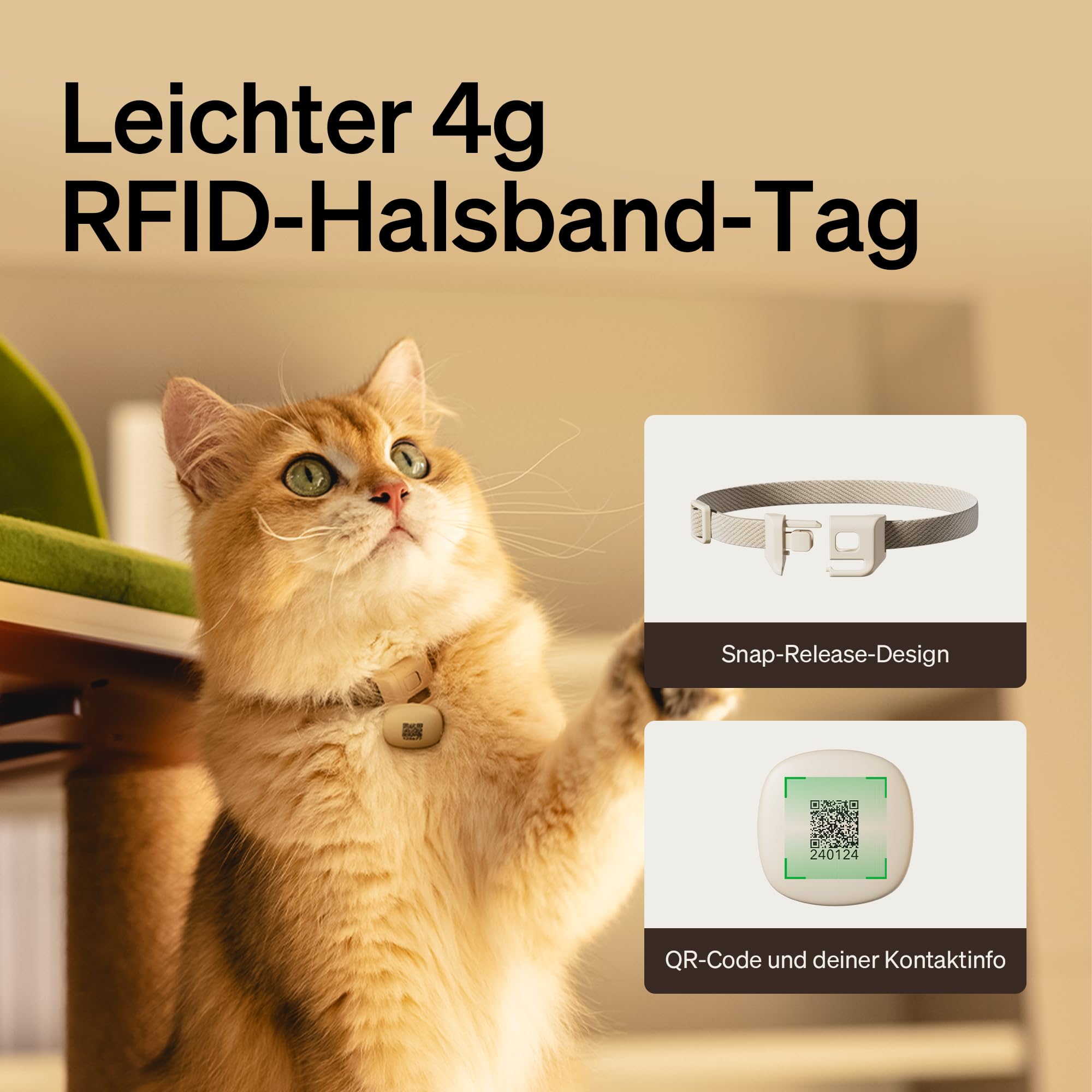 Automatic Cat Feeder With App Control For Convenient Feeding