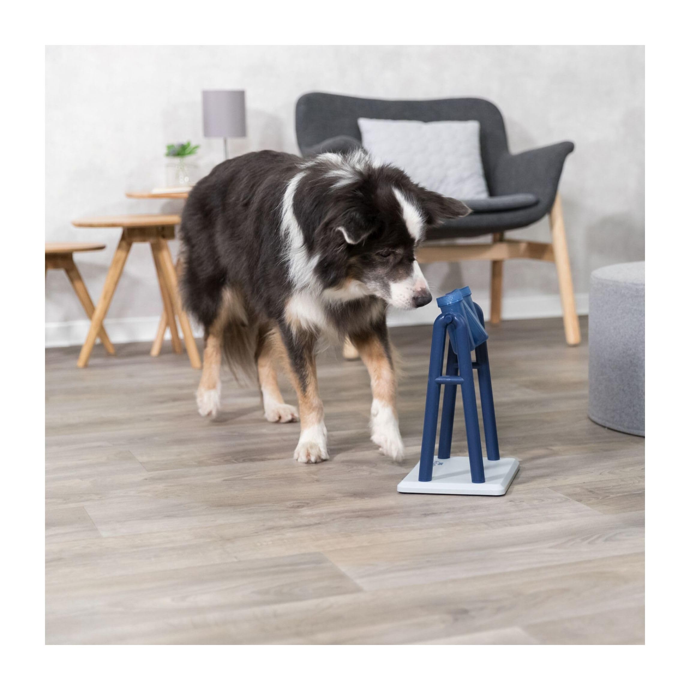 Trixie Move to Win Level 3 Dog Puzzle Game
