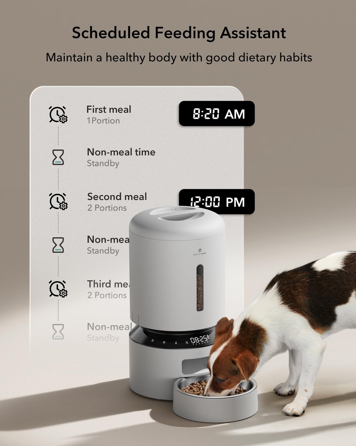 Automatic Cat Feeder with Freshness Preservation and Timed Meals