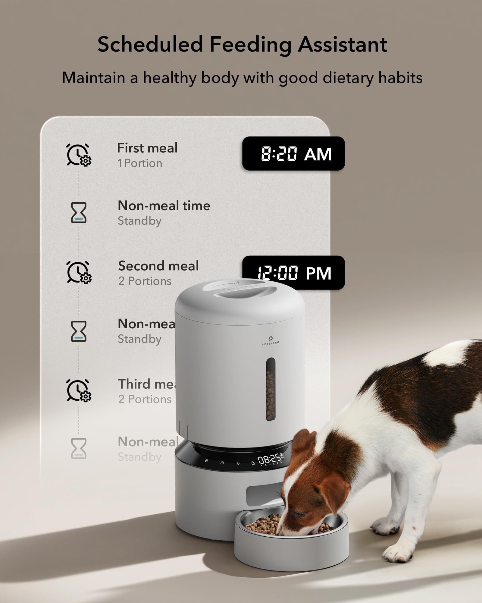 Automatic Cat Feeder with Freshness Preservation and Timed Meals