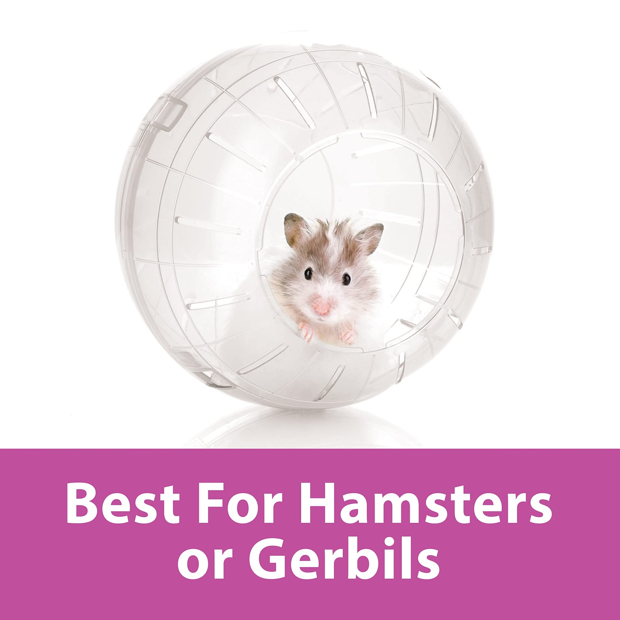 Kaytee 5 Inch Clear Exercise Ball for Dwarf Hamsters