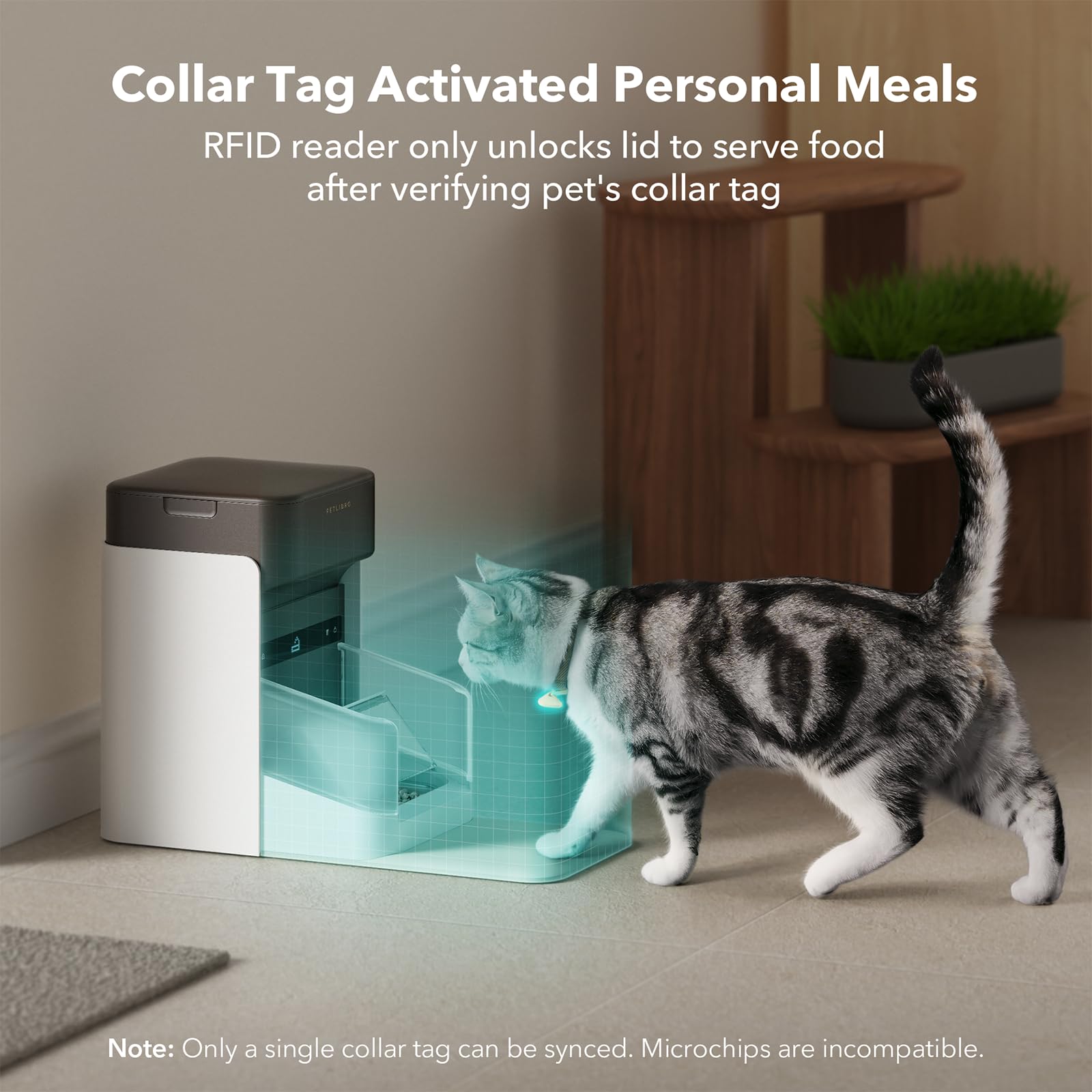 Automatic Cat Feeder With App Control For Convenient Feeding