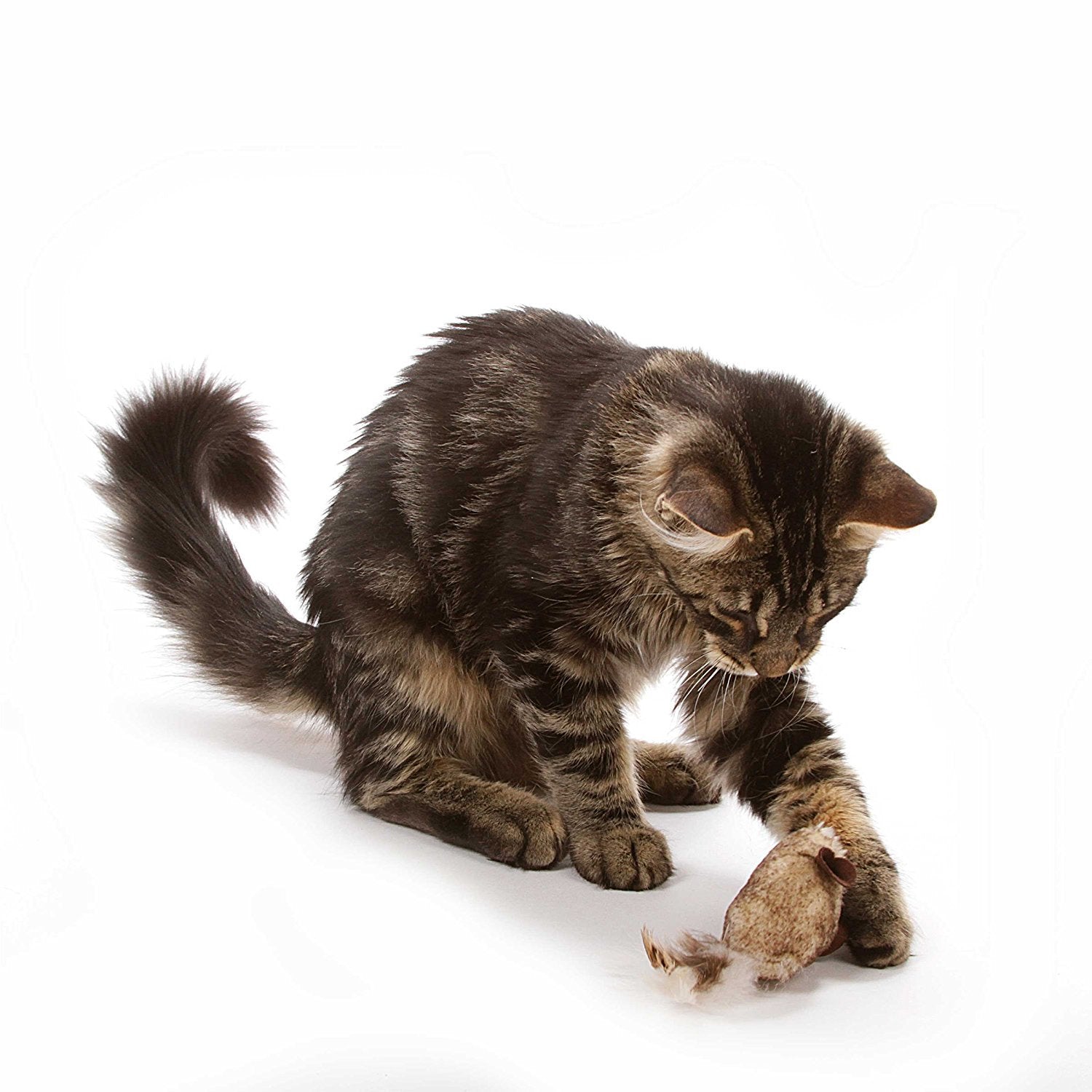Interactive Cat Toy Pack with Real Mouse Sound