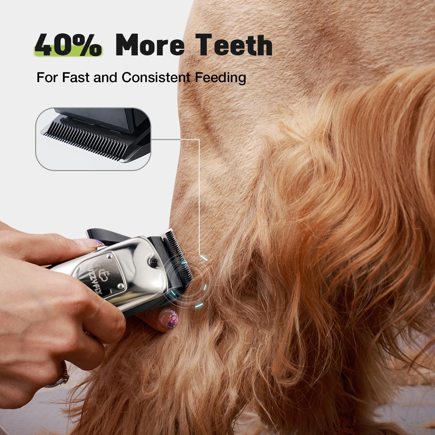 Professional Dog Grooming Kit for Stress-Free Grooming