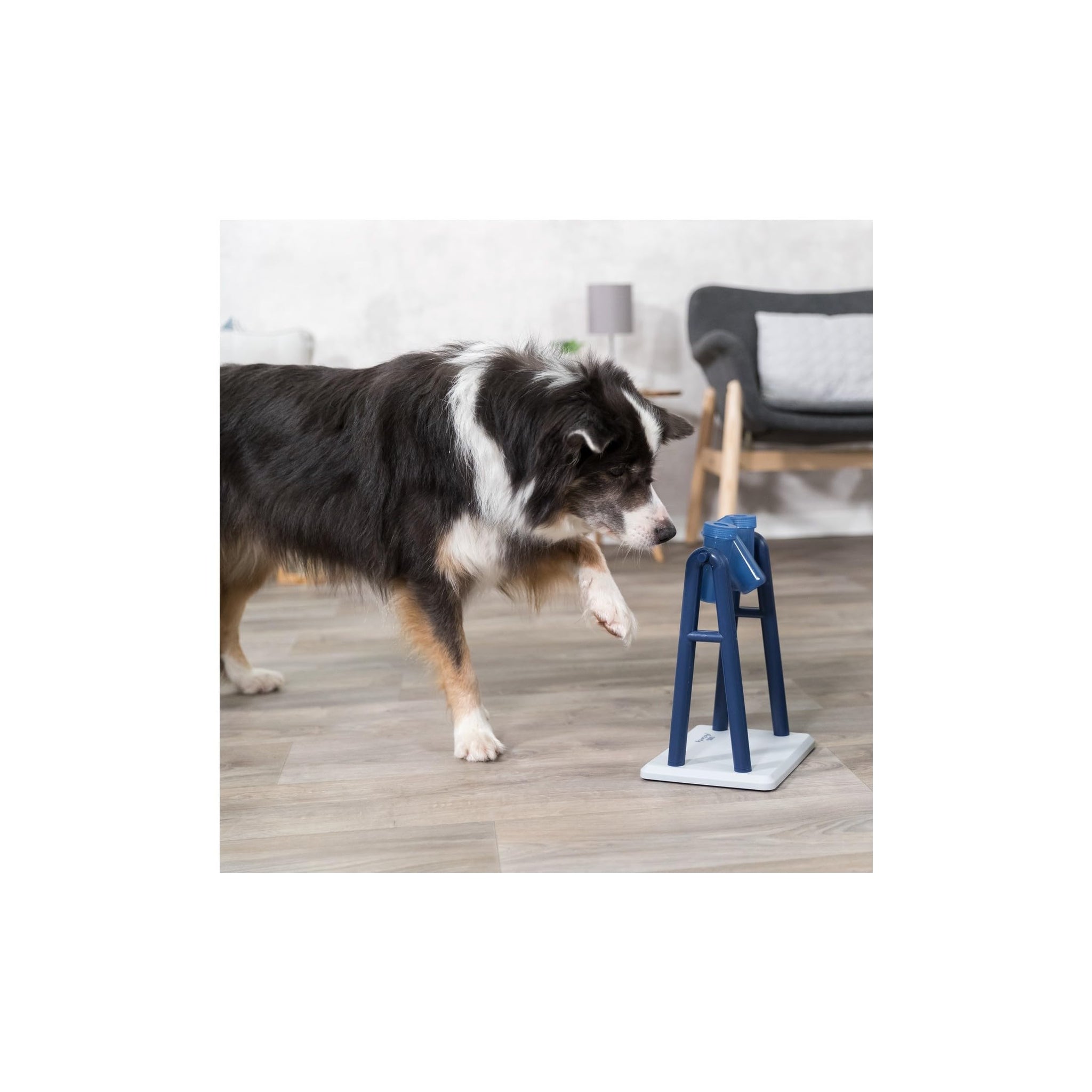 Trixie Move to Win Level 3 Dog Puzzle Game