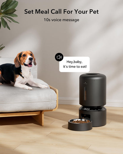 PETLIBRO Automatic Cat Feeder with HD Camera and Alerts