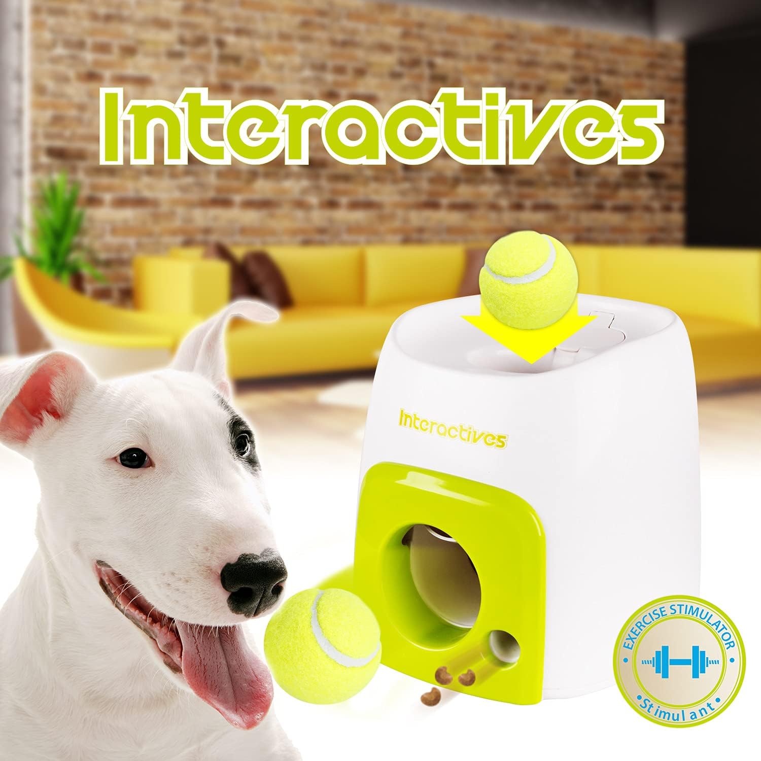 Interactive Fetch and Treat Toy for Dogs
