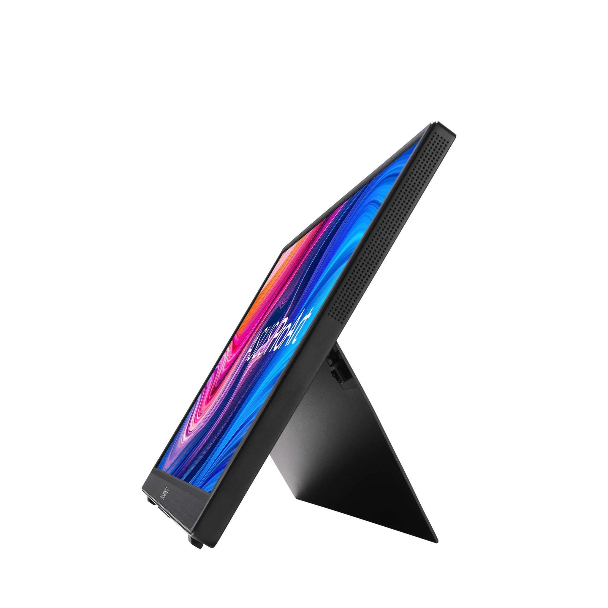 ASUS ProArt 24 Inch Monitor with 100 Percent sRGB Accuracy