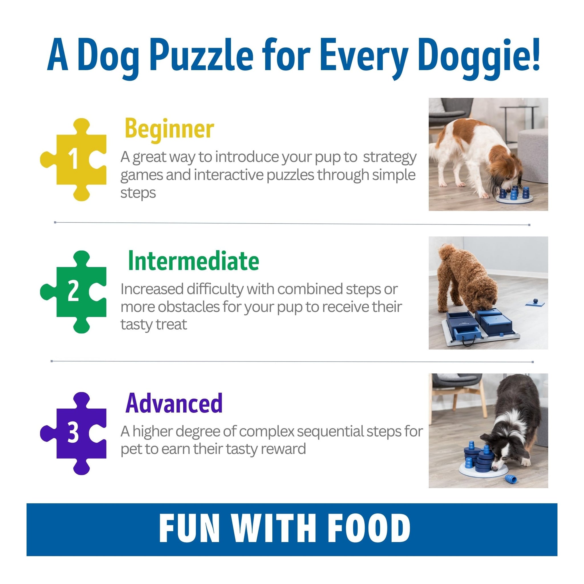 Trixie Move to Win Level 3 Dog Puzzle Game