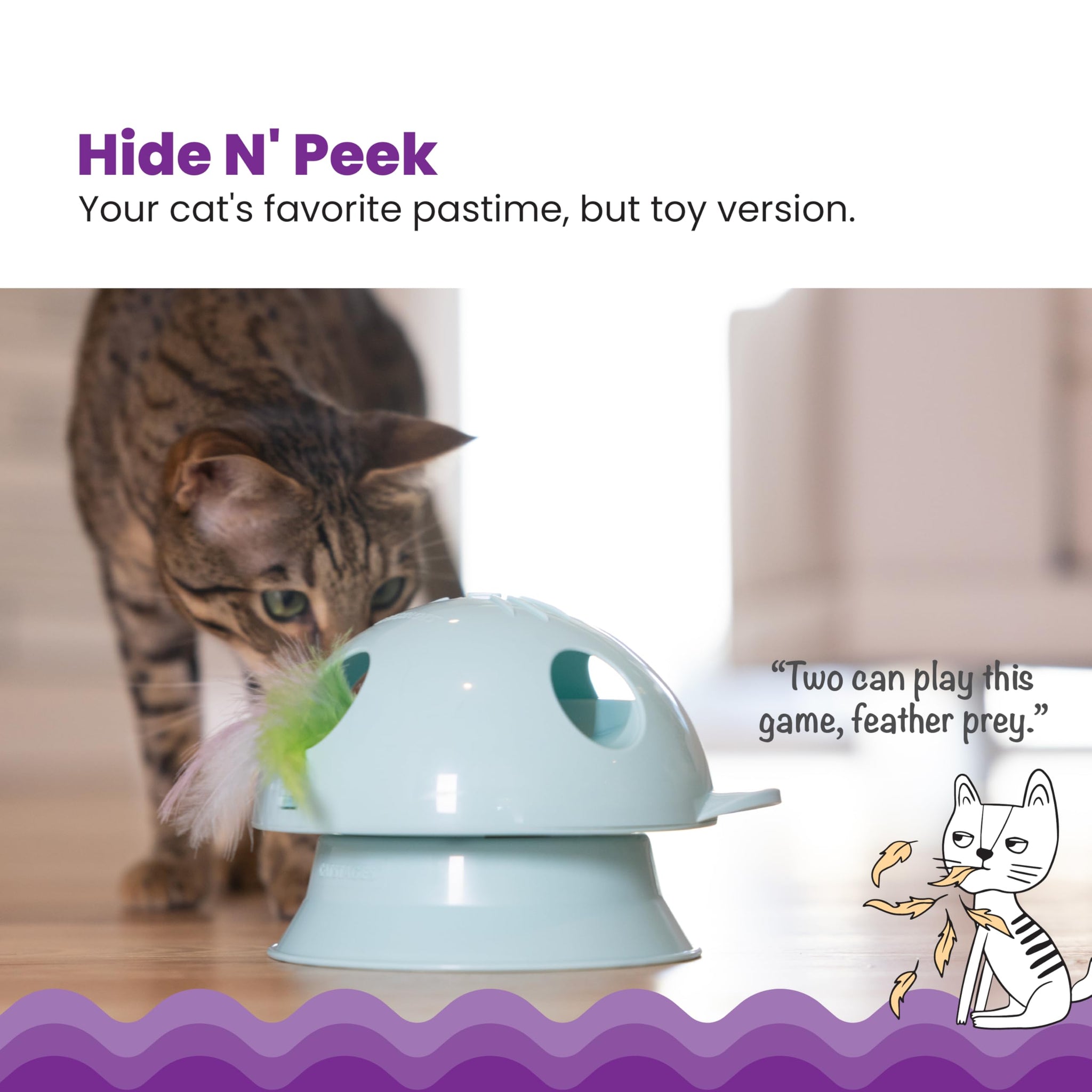 Interactive Flutter Dome Cat Toy for Indoor Play