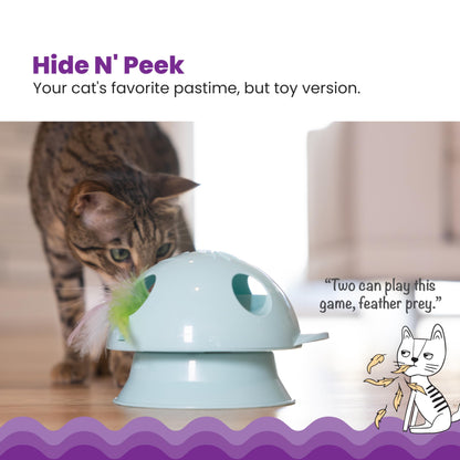 Interactive Flutter Dome Cat Toy for Indoor Play