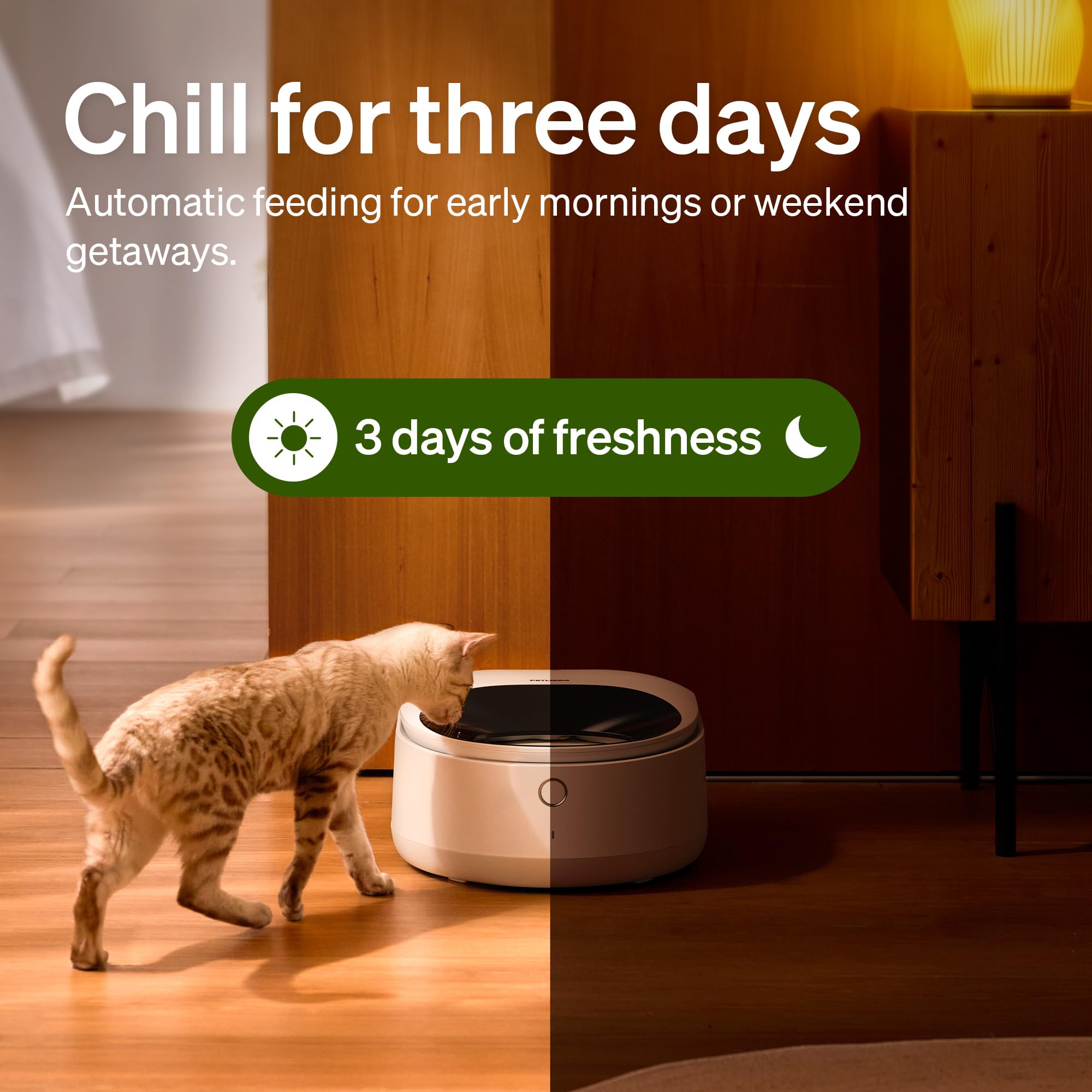 Automatic Cat Feeder with Refrigerated Fresh Meals