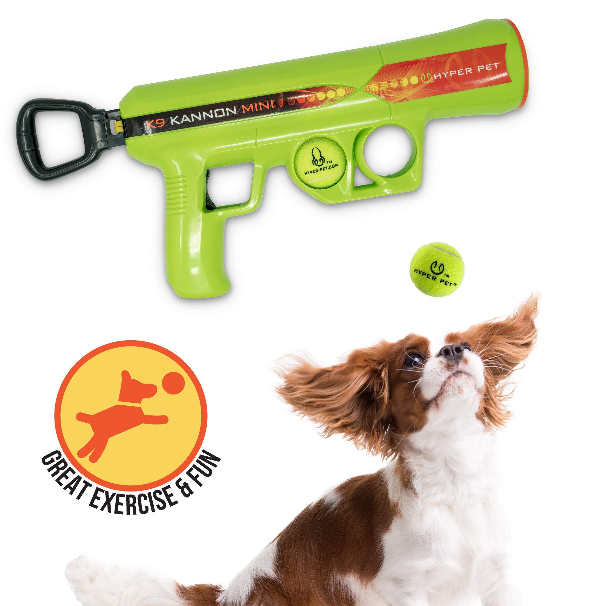 Automatic Ball Launcher for Dogs with Remote Control