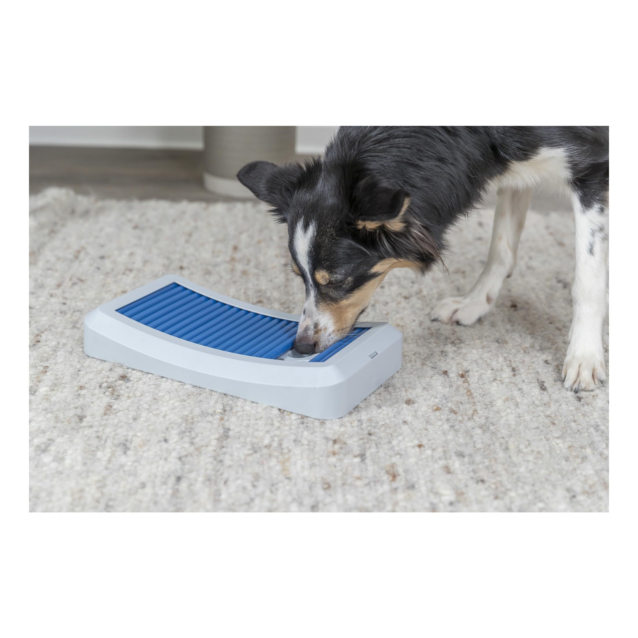 Trixie Move to Win Level 3 Dog Puzzle Game