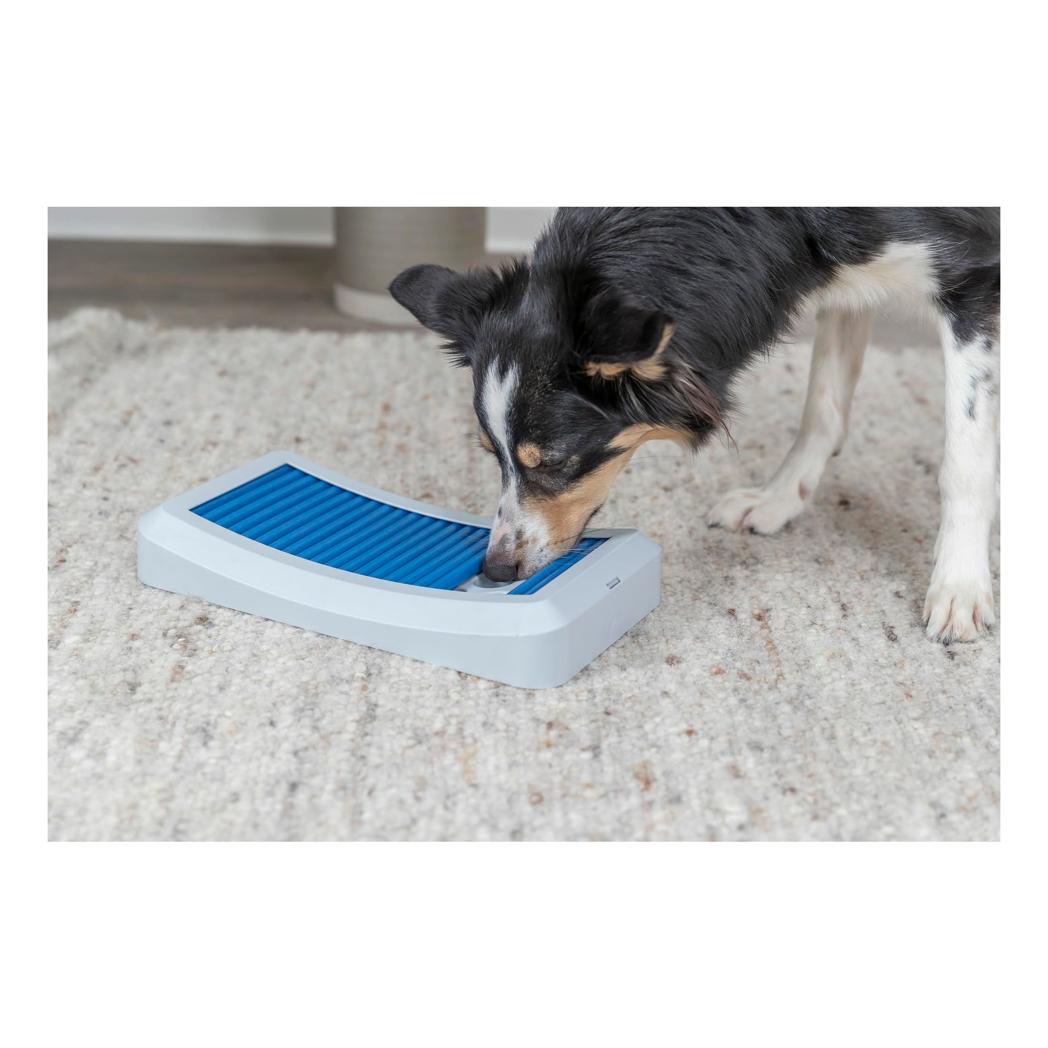 Trixie Move to Win Level 3 Dog Puzzle Game