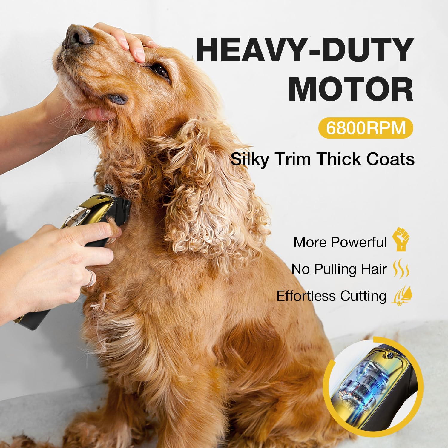 Professional Dog Clippers for Thick Coats Low Noise Operation