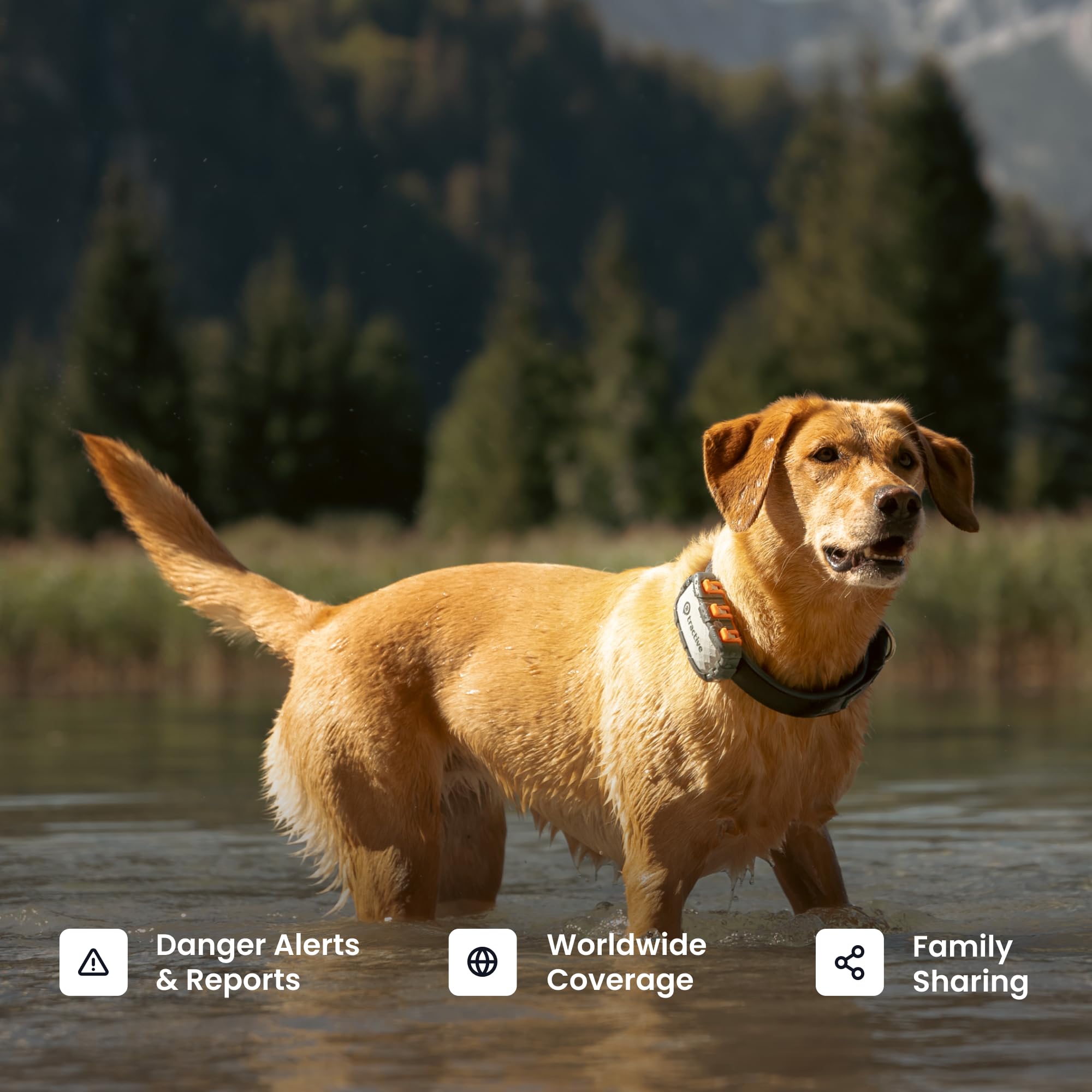 Tractive XL Smart Dog GPS Tracker with Health Monitoring