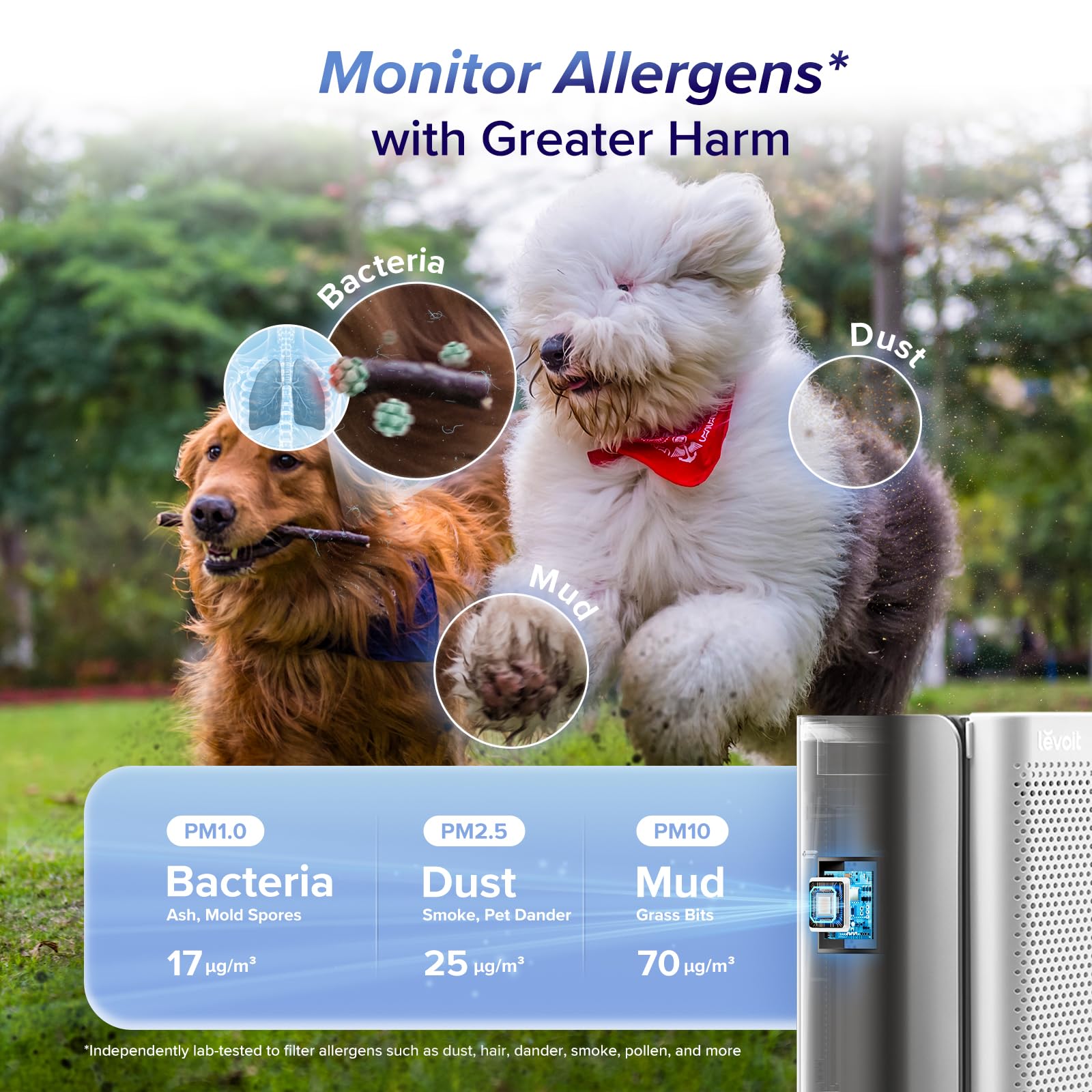 Levoit Smart Air Purifier for Large Rooms