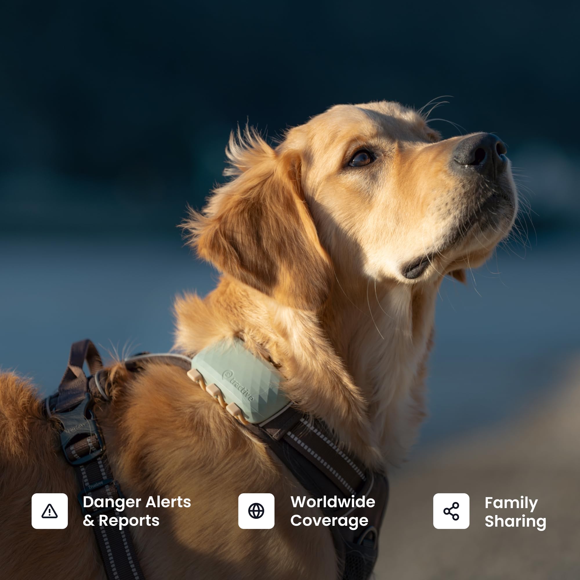Tractive XL Smart Dog GPS Tracker with Health Monitoring