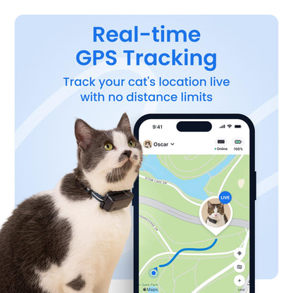 Tractive Smart Cat GPS Tracker with Real Time Monitoring
