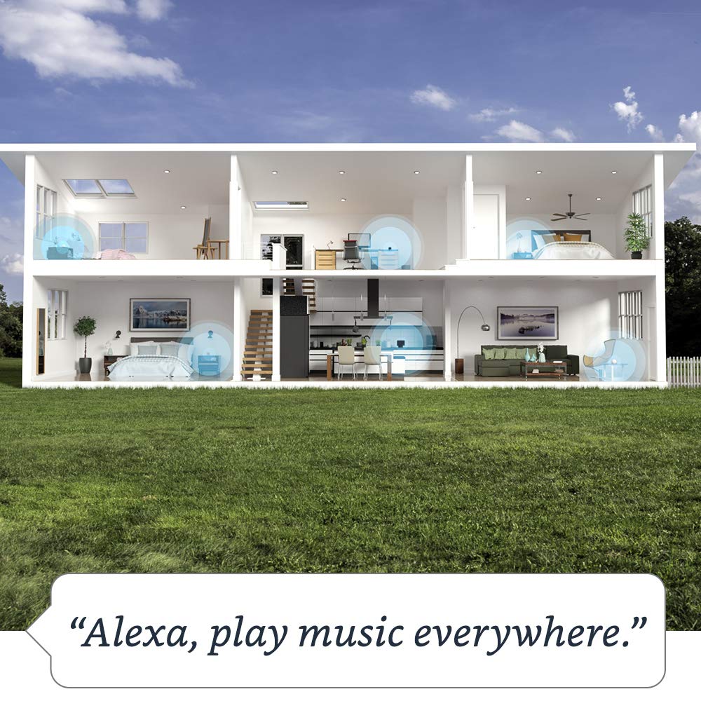 Amazon Echo Premium Sound Smart Speaker for Large Rooms