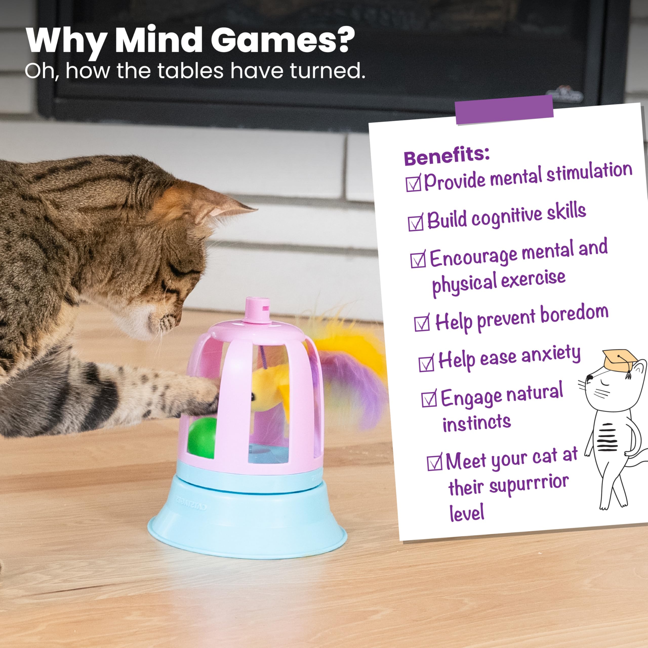 Interactive Flutter Dome Cat Toy for Indoor Play