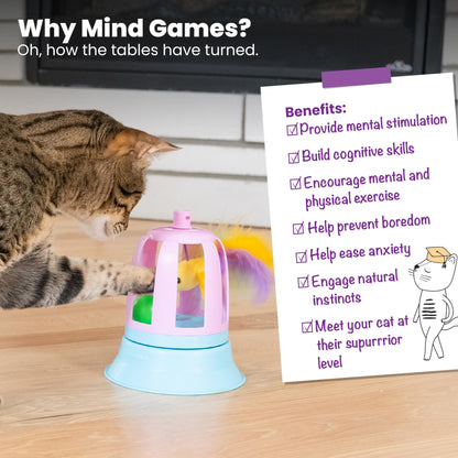 Interactive Flutter Dome Cat Toy for Indoor Play