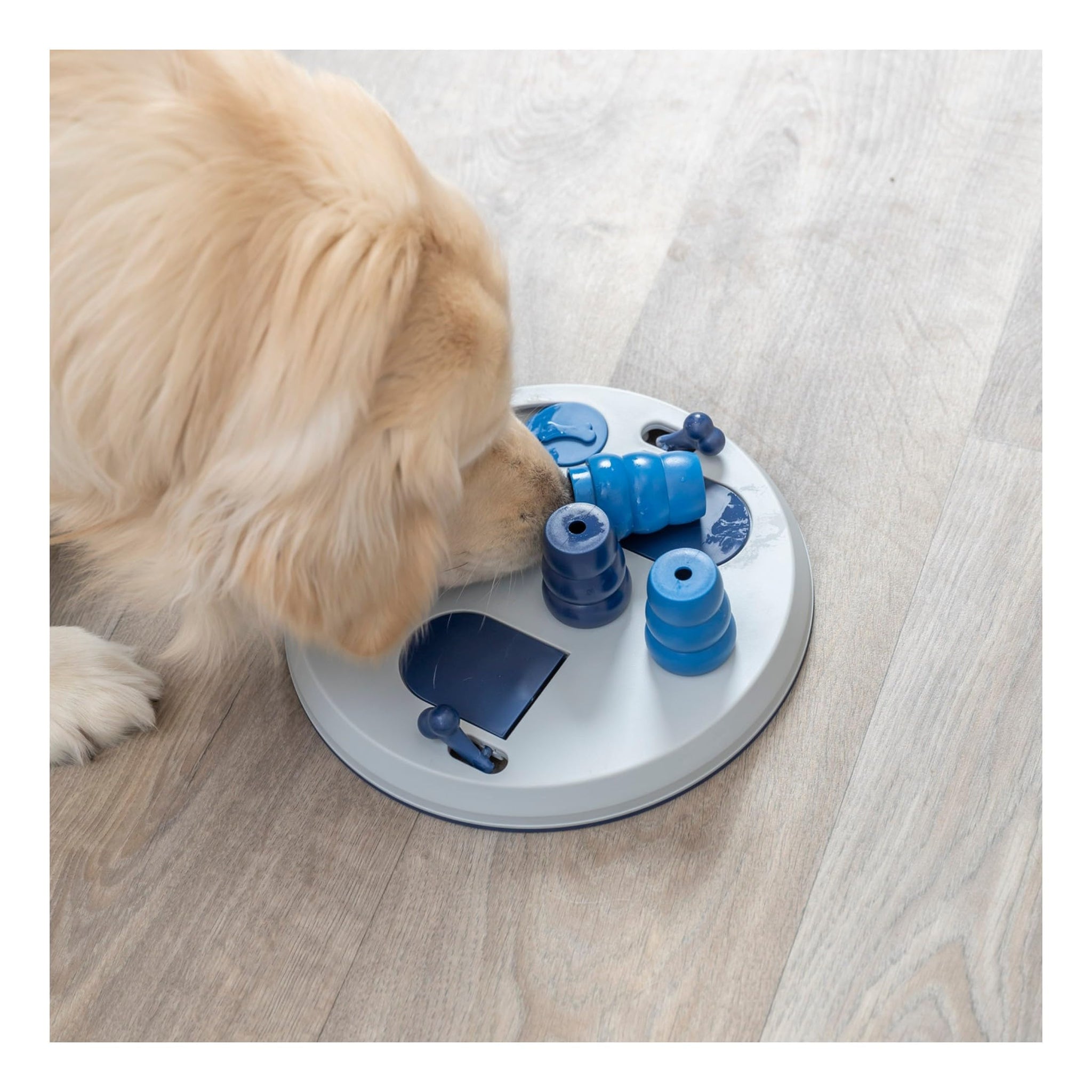 Trixie Move to Win Level 3 Dog Puzzle Game
