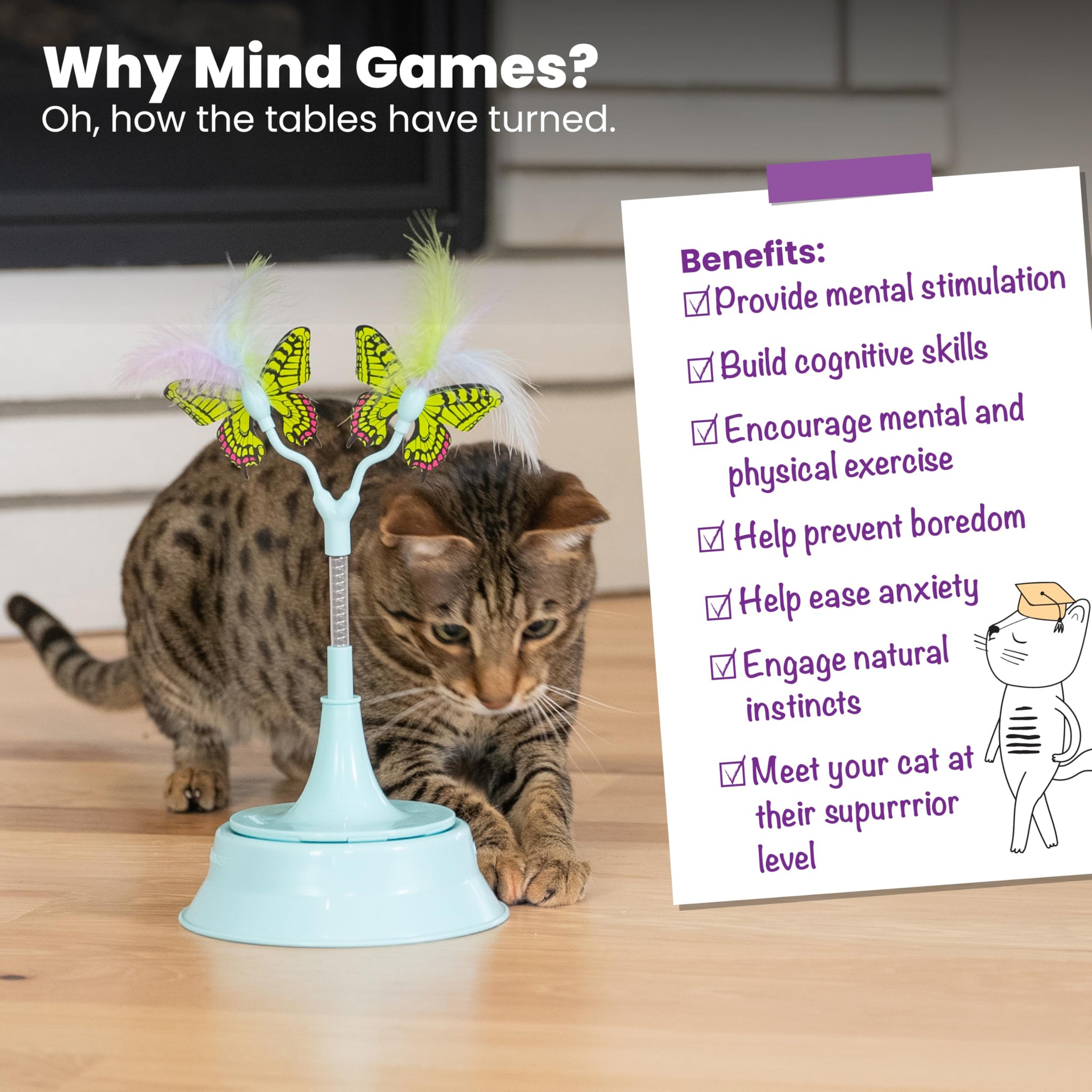 Interactive Flutter Dome Cat Toy for Indoor Play