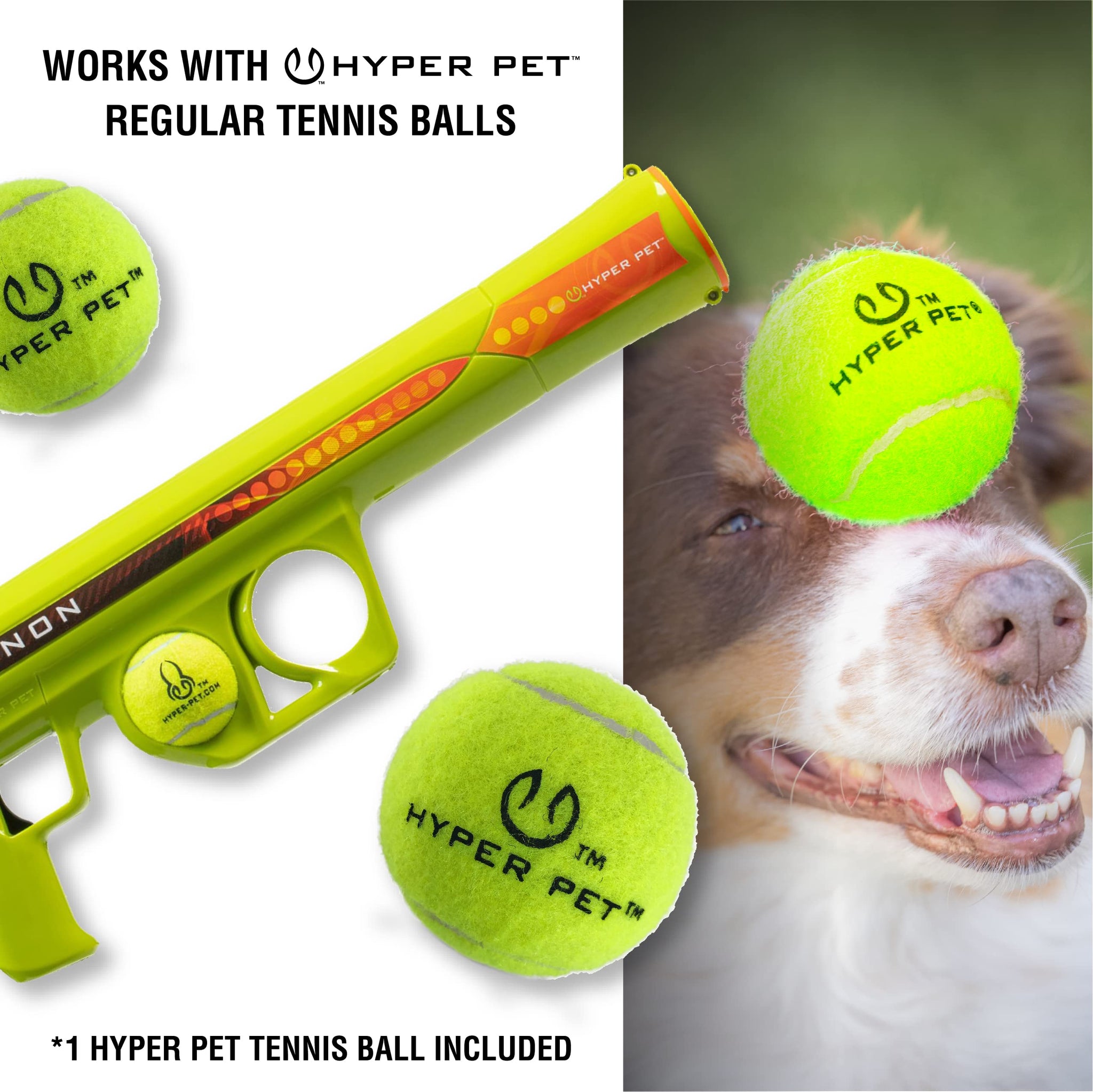 Automatic Ball Launcher for Dogs with Remote Control
