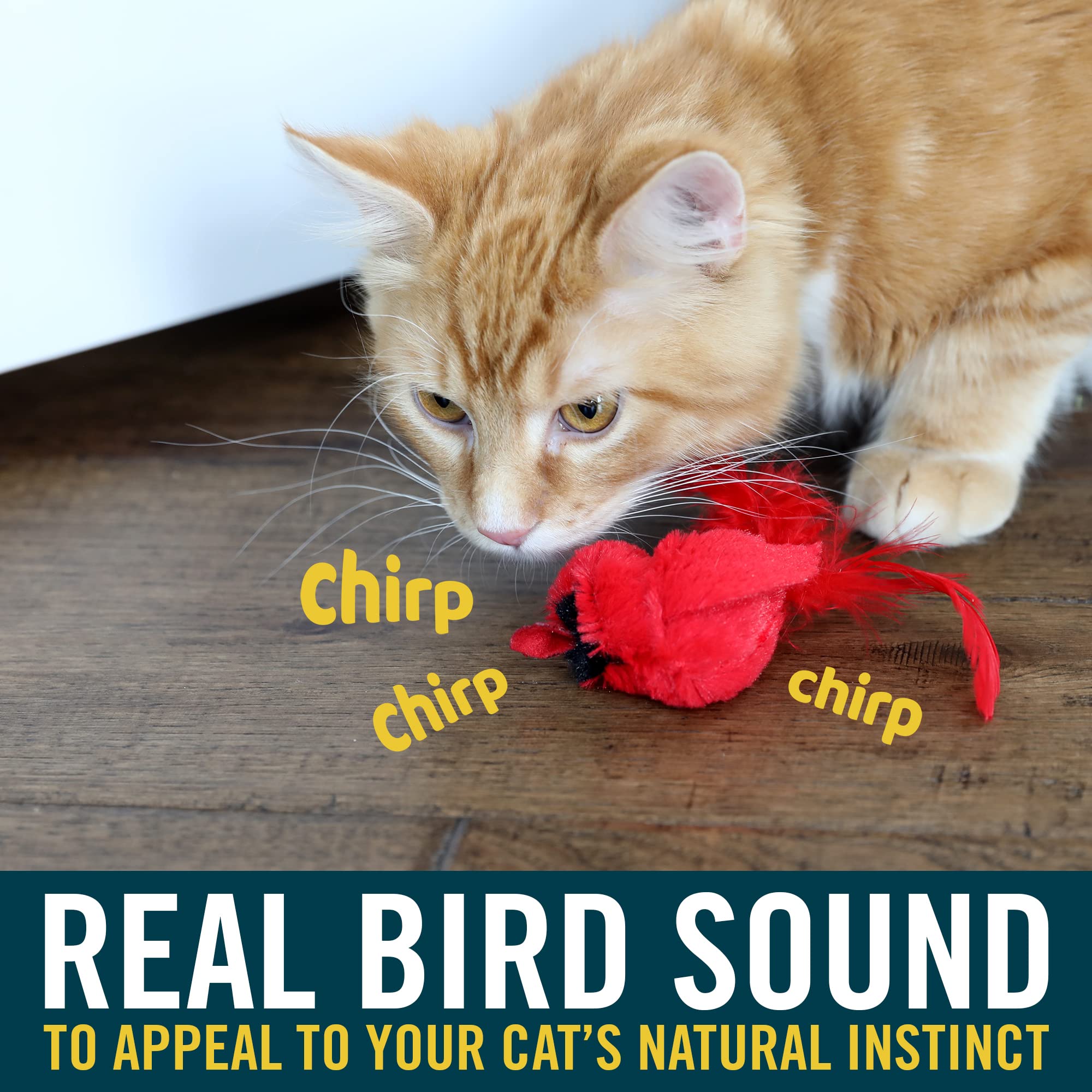 Interactive Cat Toys with Realistic Bird Sounds