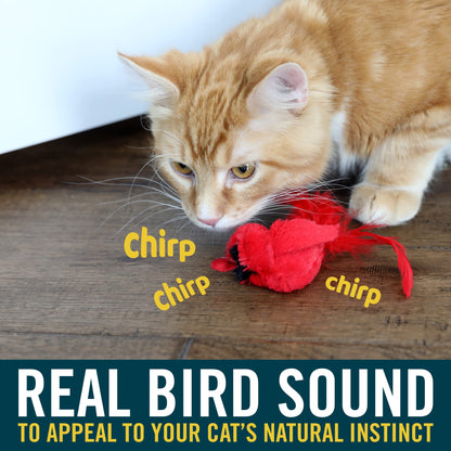 Interactive Cat Toys with Realistic Bird Sounds