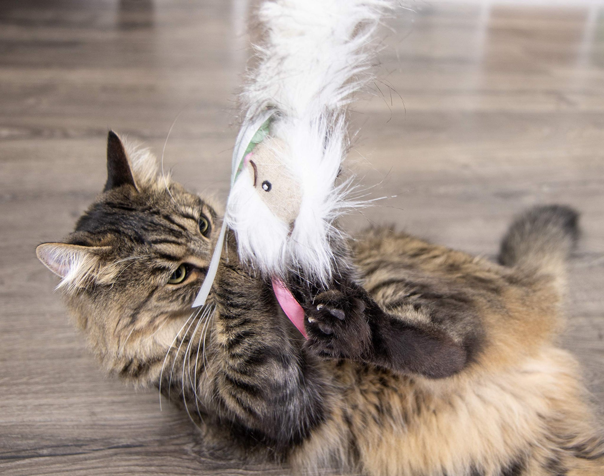 SmartyKat Chit Chatter Cat Toy with Realistic Sounds