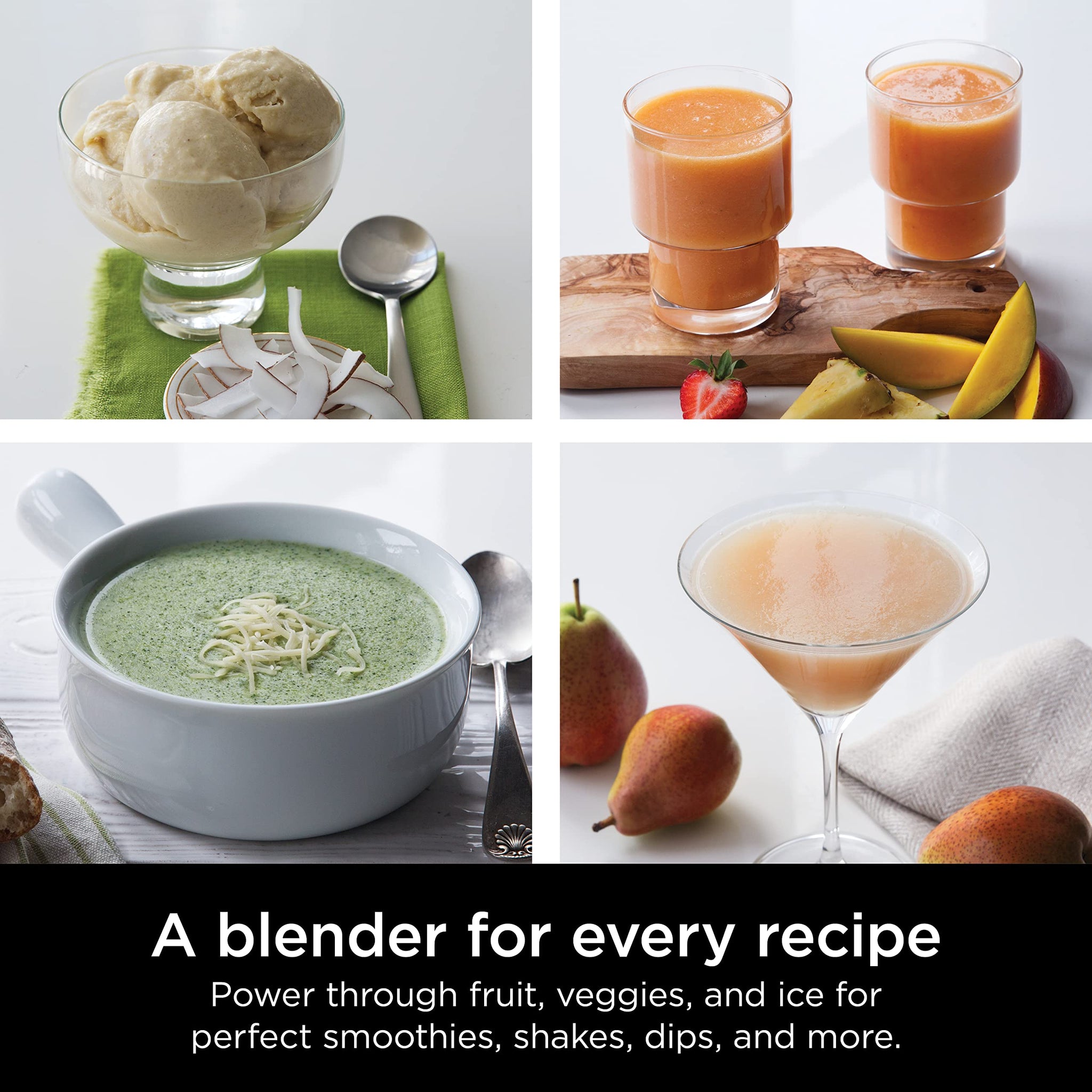 Ninja Professional Blender for Smoothies and Ice Crushing