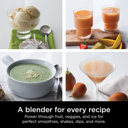 Ninja Professional Blender for Smoothies and Ice Crushing