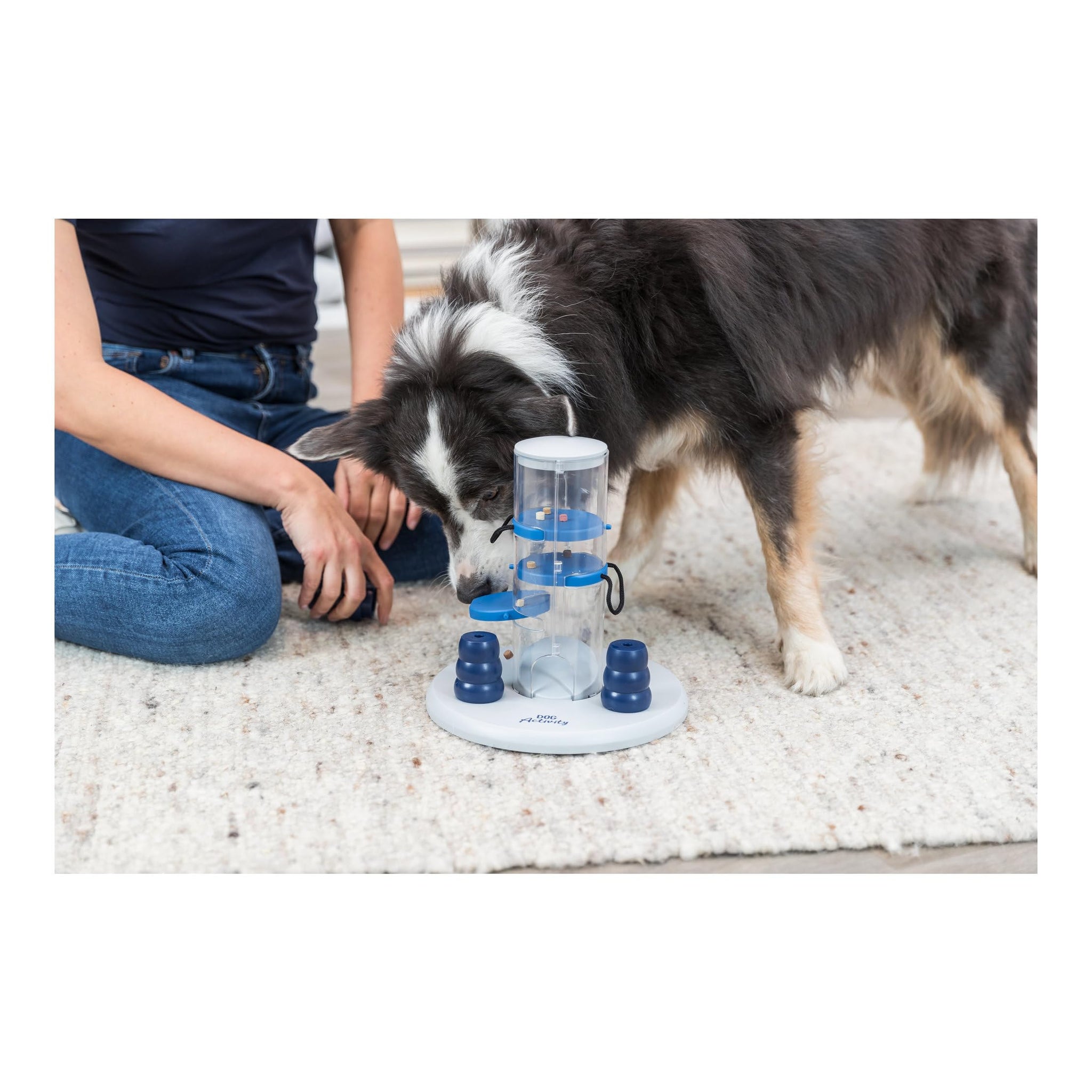 Trixie Move to Win Level 3 Dog Puzzle Game