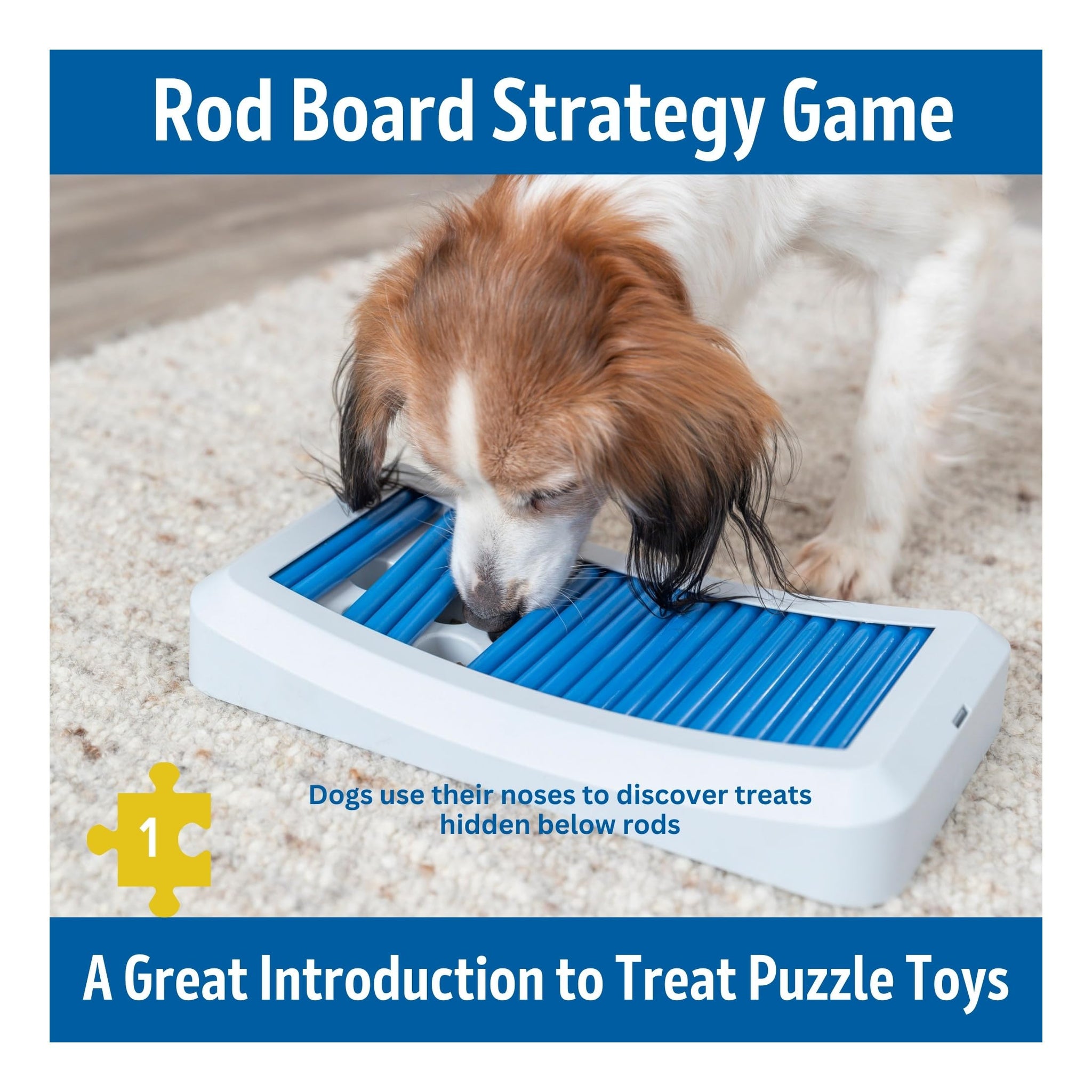 Trixie Move to Win Level 3 Dog Puzzle Game