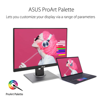 ASUS ProArt 24 Inch Monitor with 100 Percent sRGB Accuracy