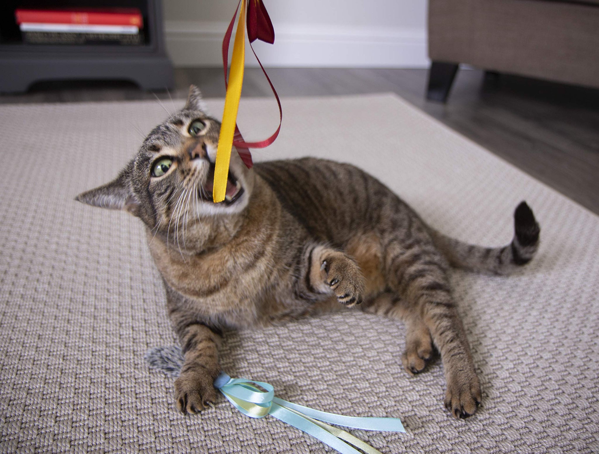 Interactive Cat Toy with Light and HappyNip Blend