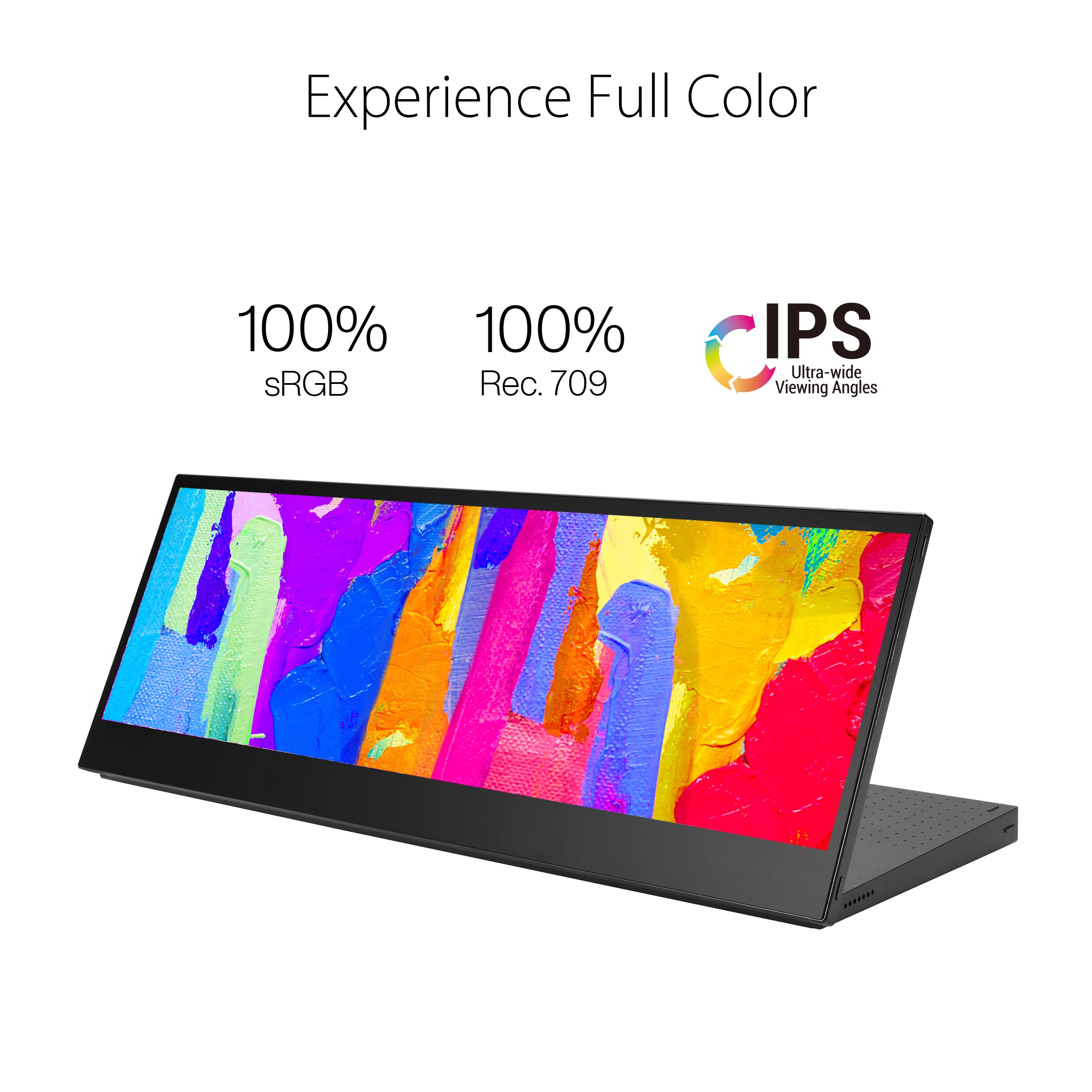ASUS ProArt 24 Inch Monitor with 100 Percent sRGB Accuracy