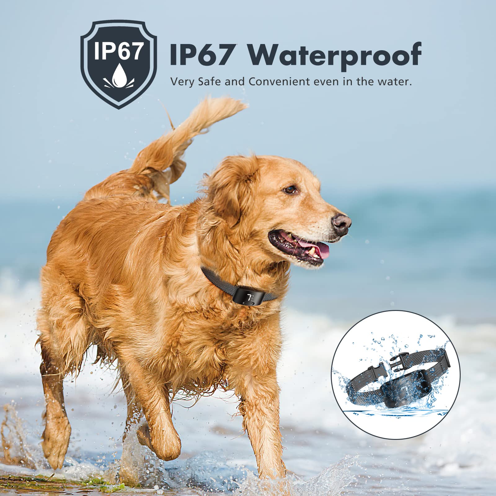 Rechargeable Anti Barking Collar for Dogs with Adjustable Sensitivity