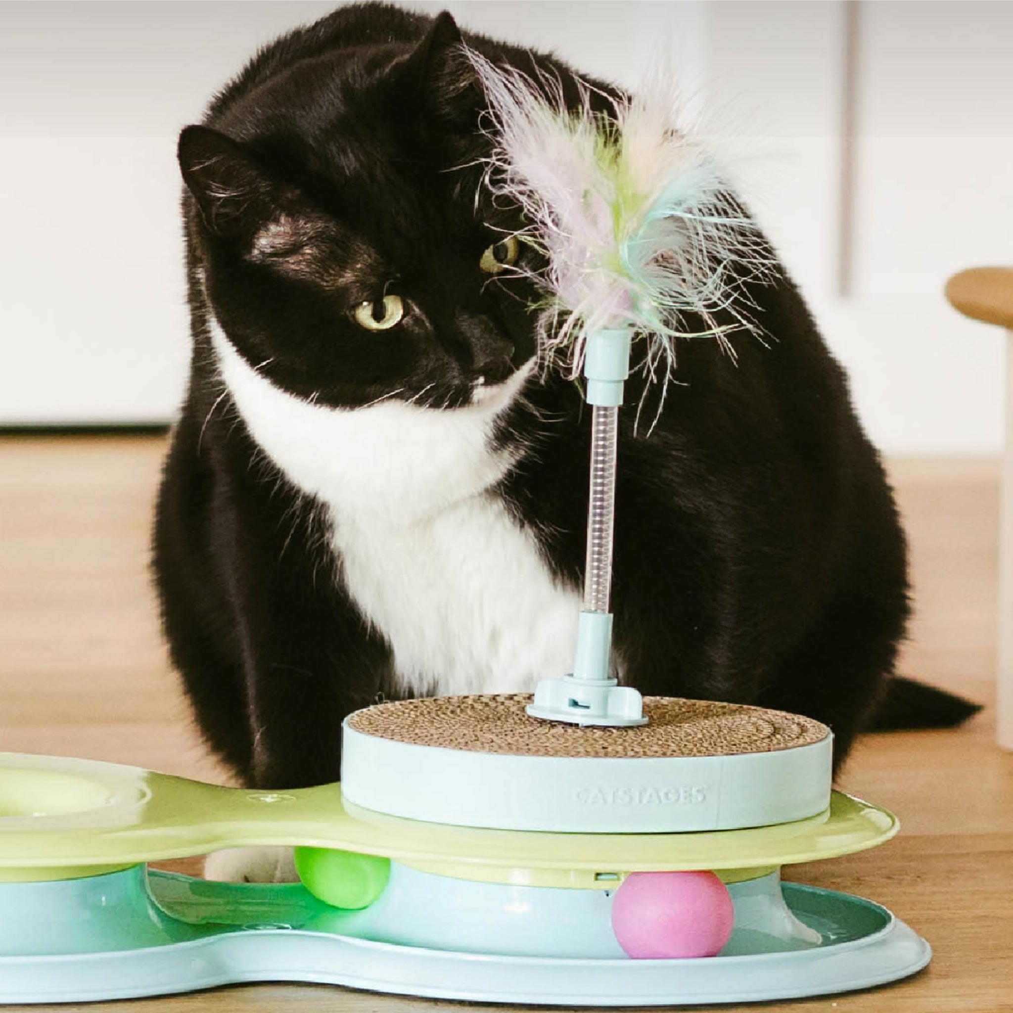 Interactive Flutter Dome Cat Toy for Indoor Play