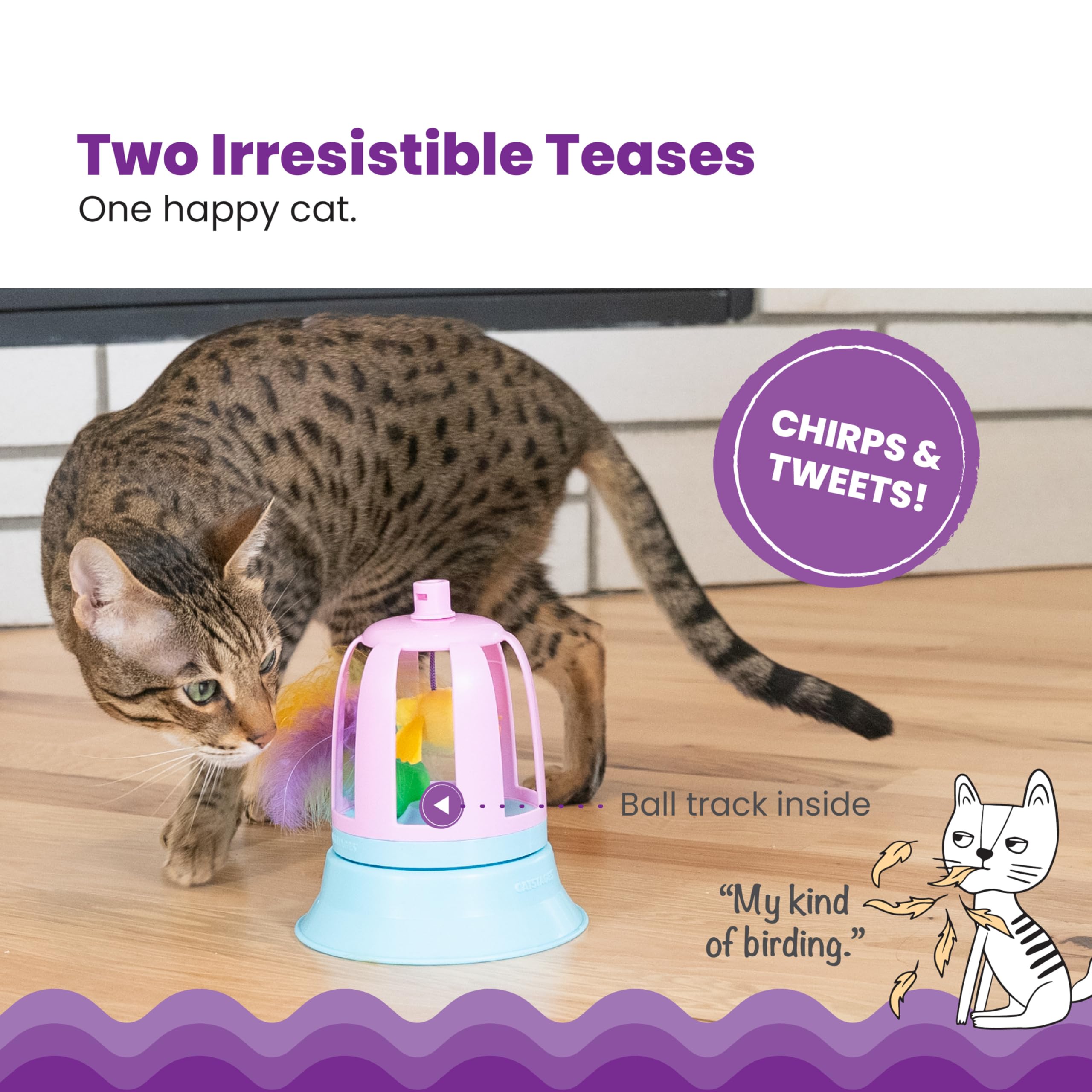 Interactive Flutter Dome Cat Toy for Indoor Play