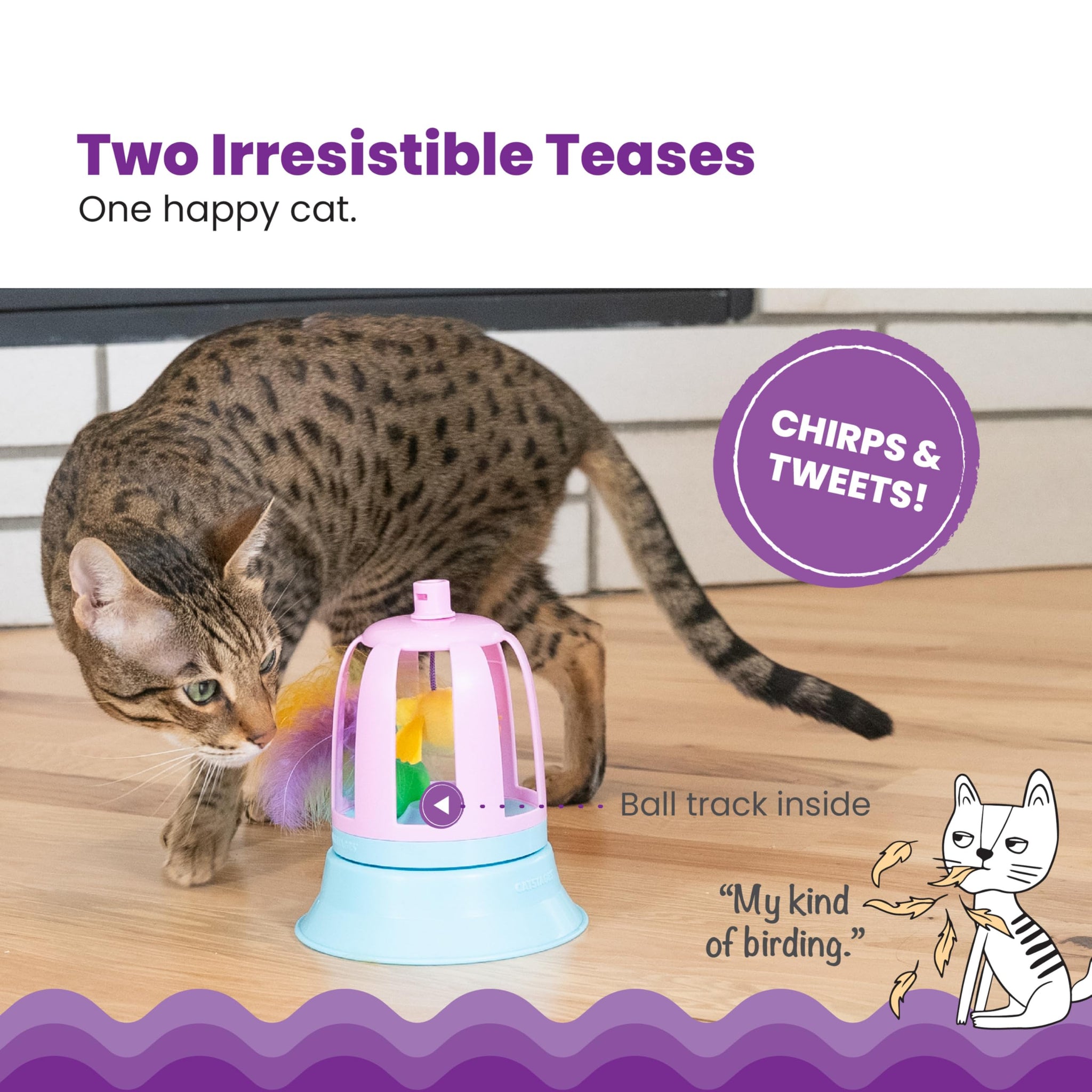 Interactive Flutter Dome Cat Toy for Indoor Play