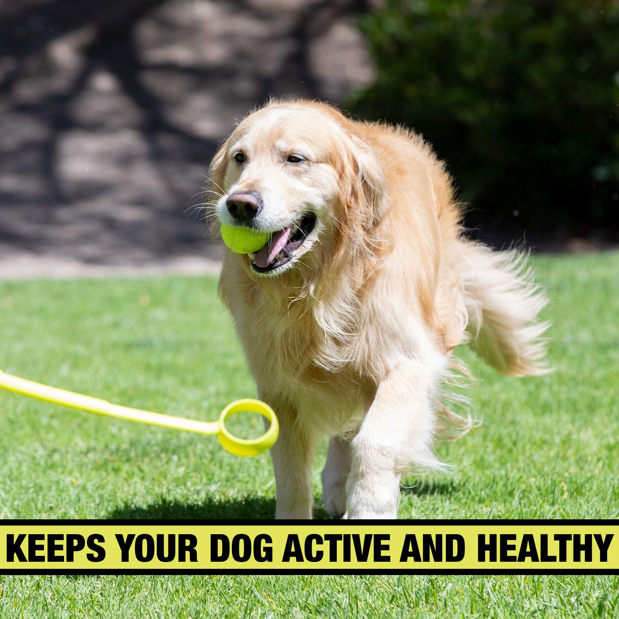 Automatic Ball Launcher for Dogs with Remote Control
