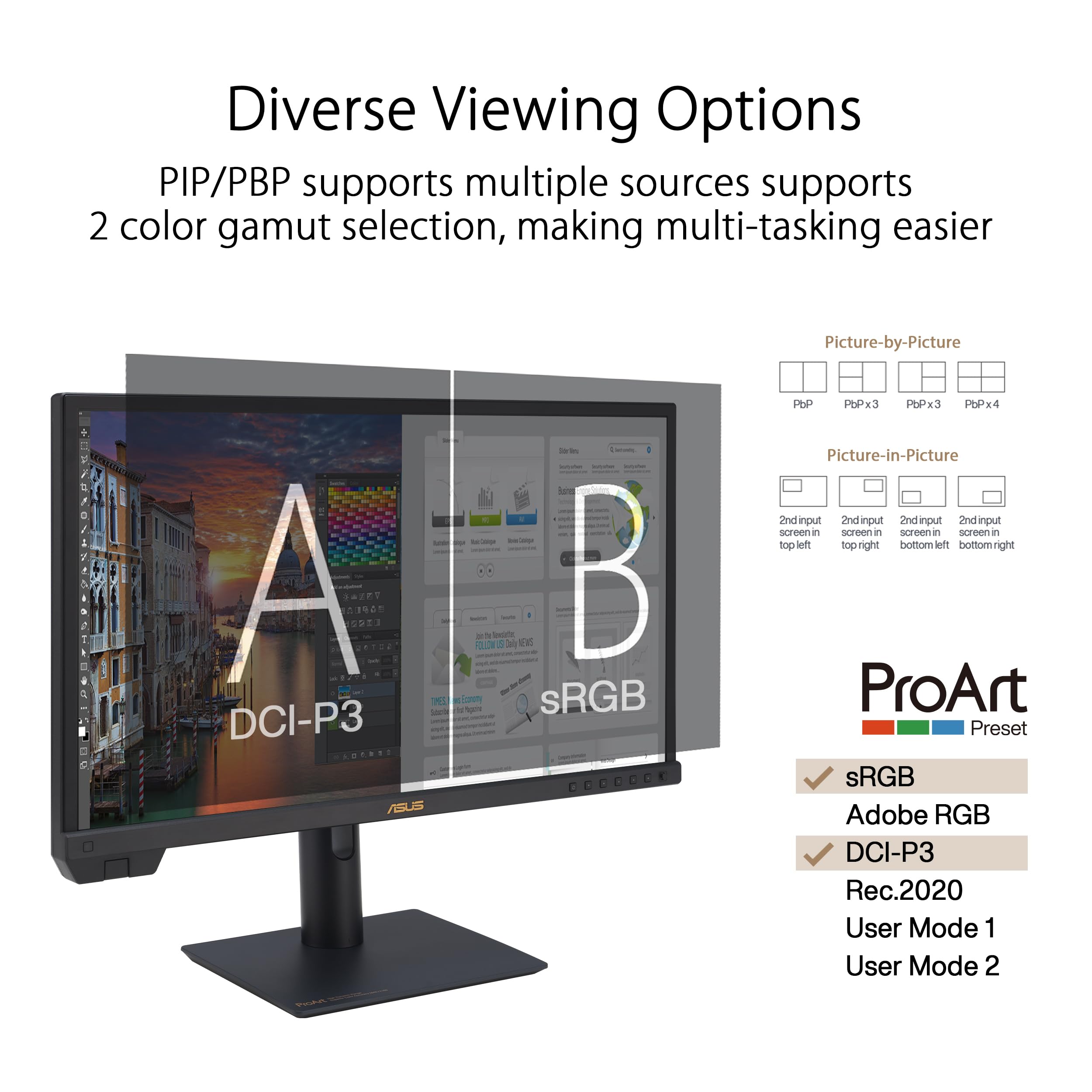 ASUS ProArt 24 Inch Monitor with 100 Percent sRGB Accuracy