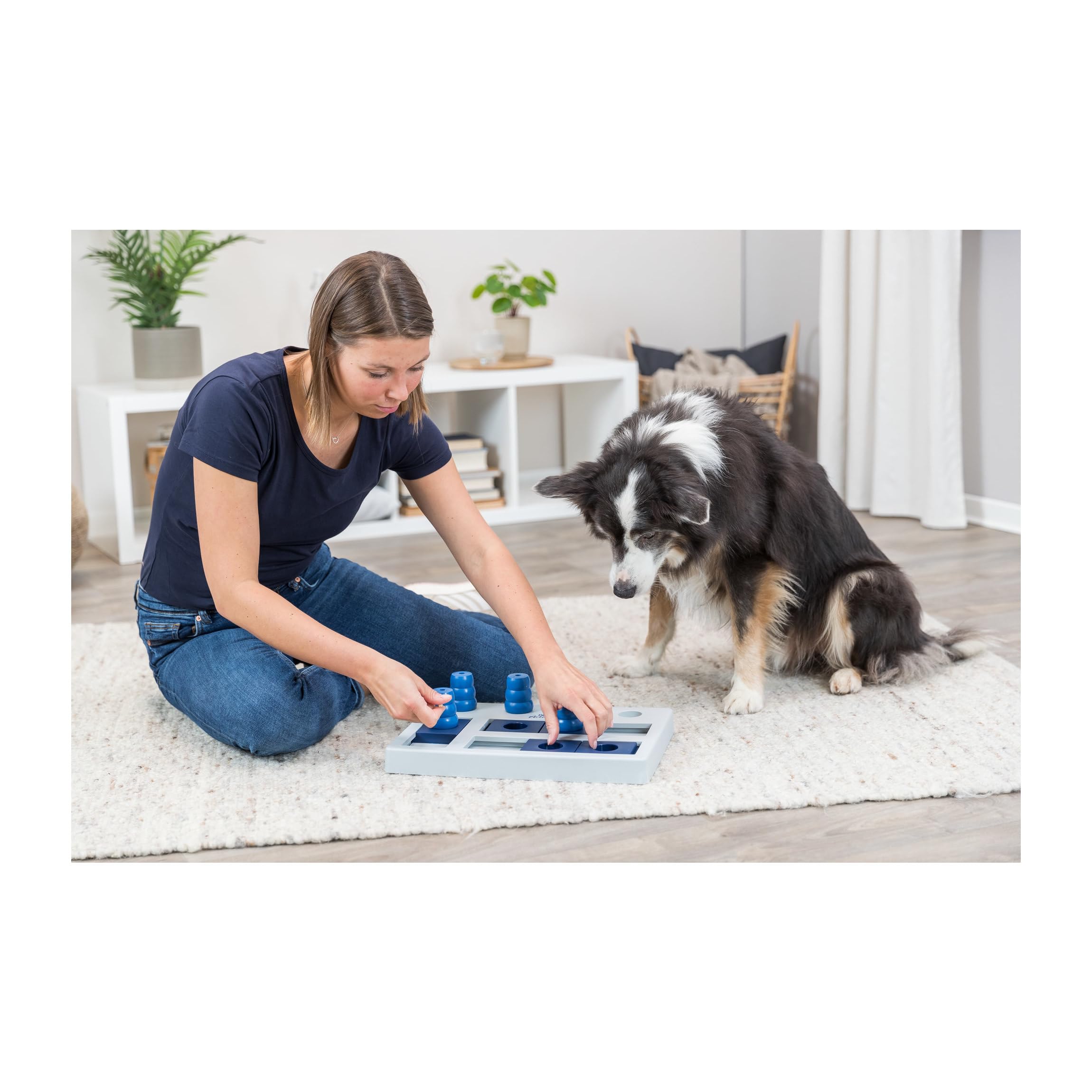 Trixie Move to Win Level 3 Dog Puzzle Game
