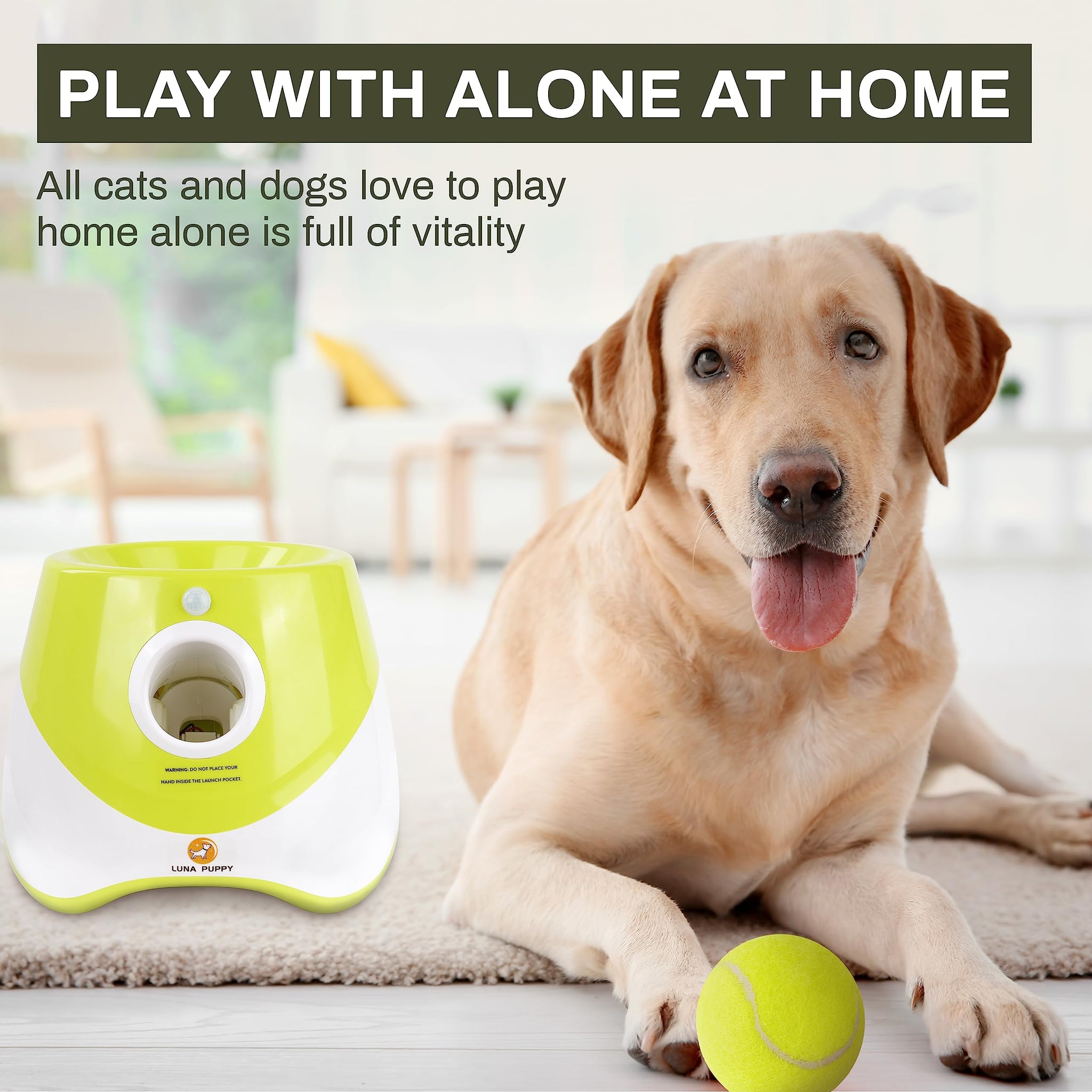 Automatic Dog Ball Launcher for Interactive Play