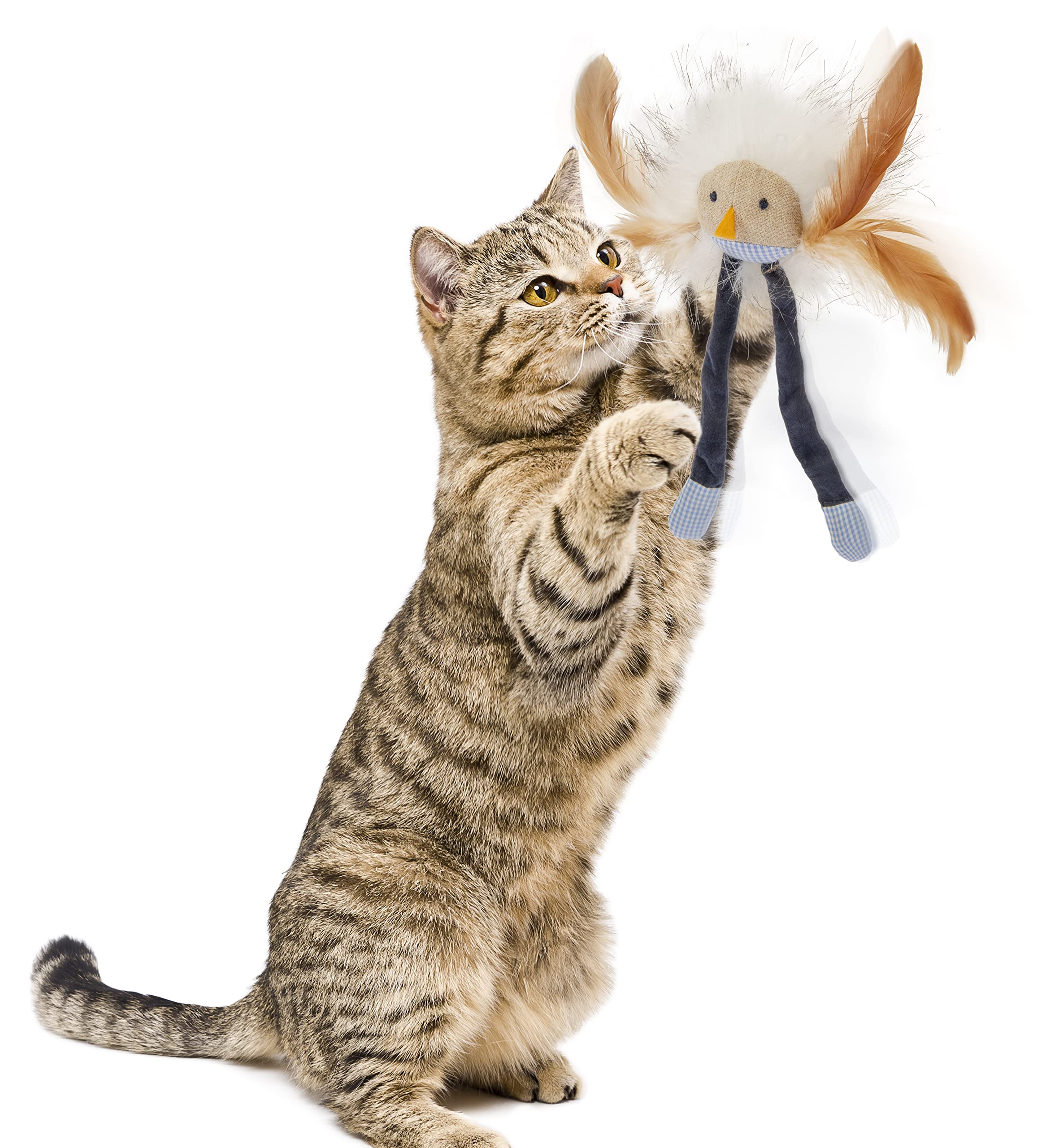Interactive Cat Toy with Light and HappyNip Blend