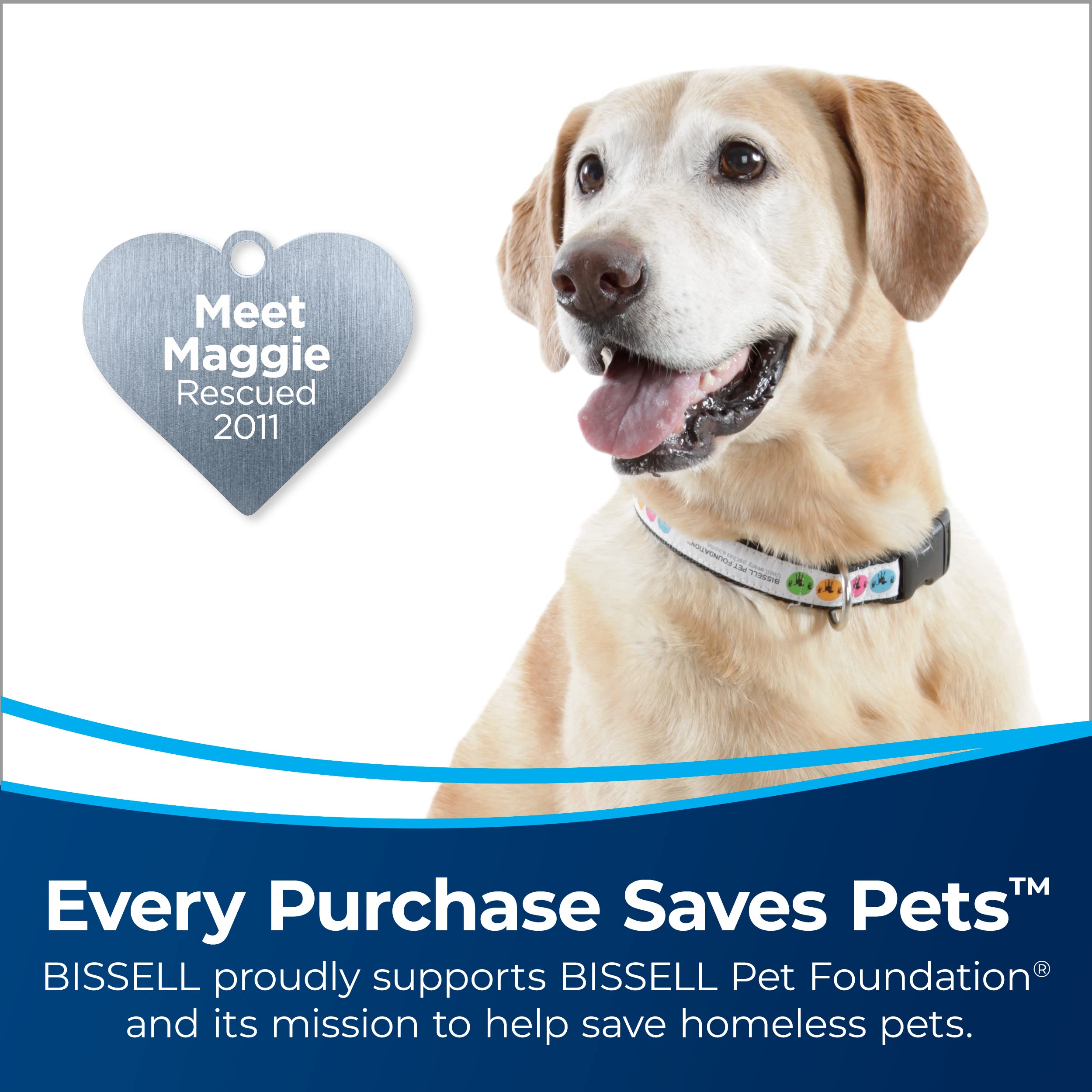Bissell CleanView Rewind Vacuum with OnePass Technology